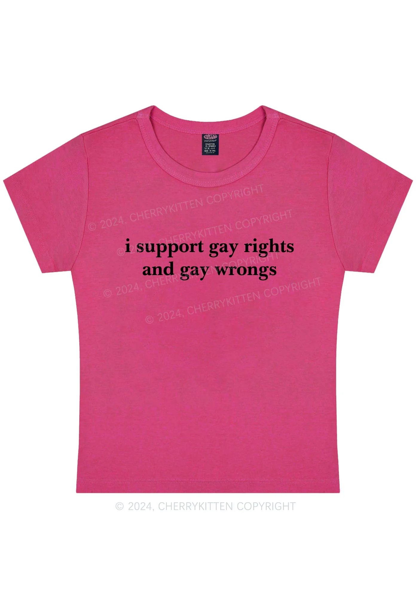 Curvy Support Gay Rights Y2K Baby Tee Cherrykitten - Image 5
