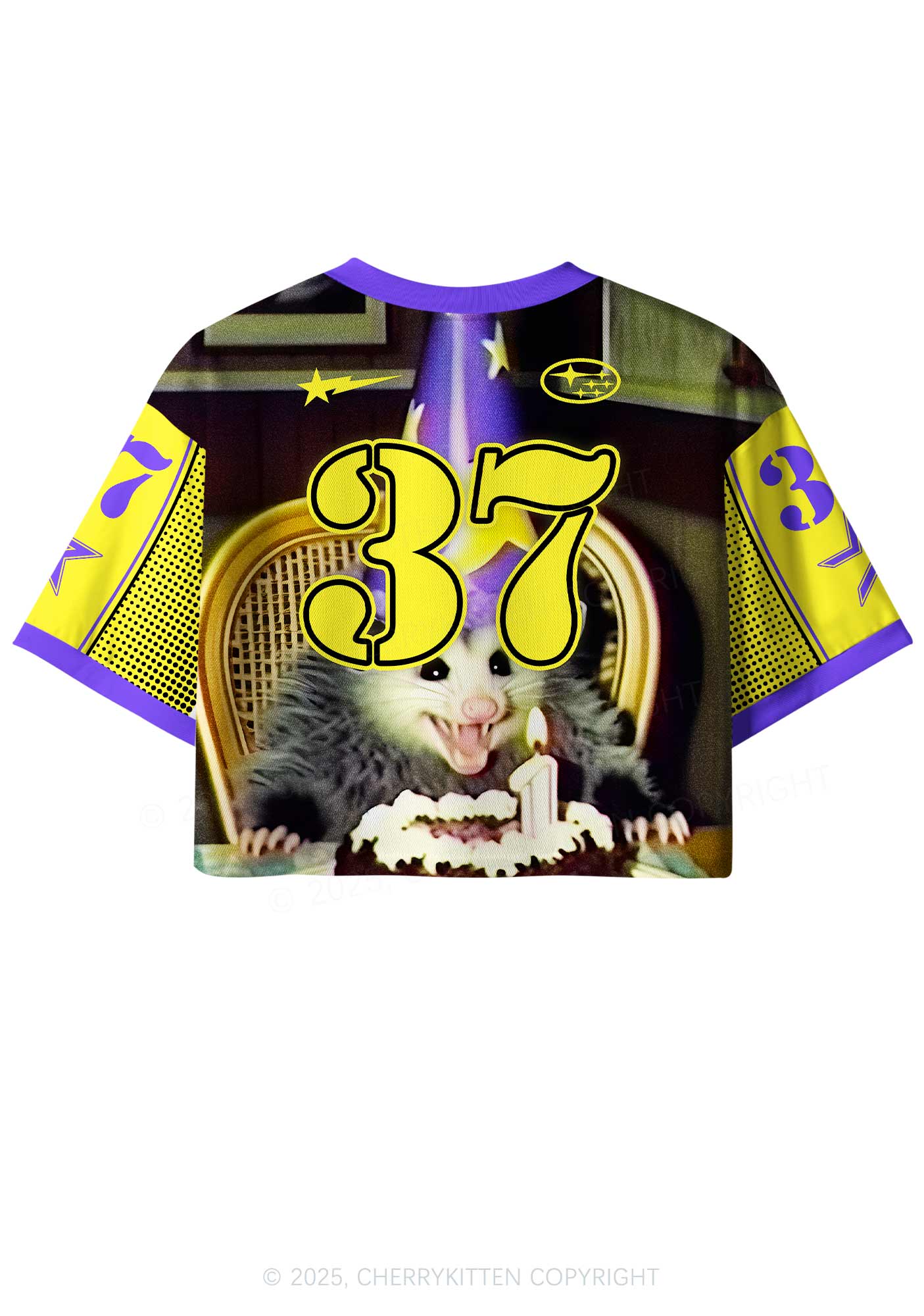 Custom Birthday Rat Y2K Crop Sport Jersey Shirts Cherrykitten - Image 3