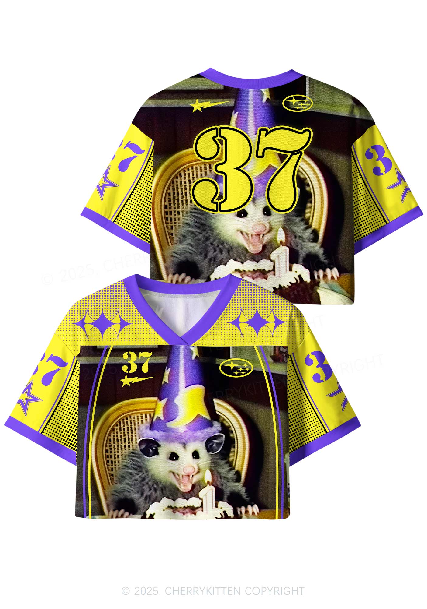 Custom Birthday Rat Y2K Crop Sport Jersey Shirts Cherrykitten - Image 4
