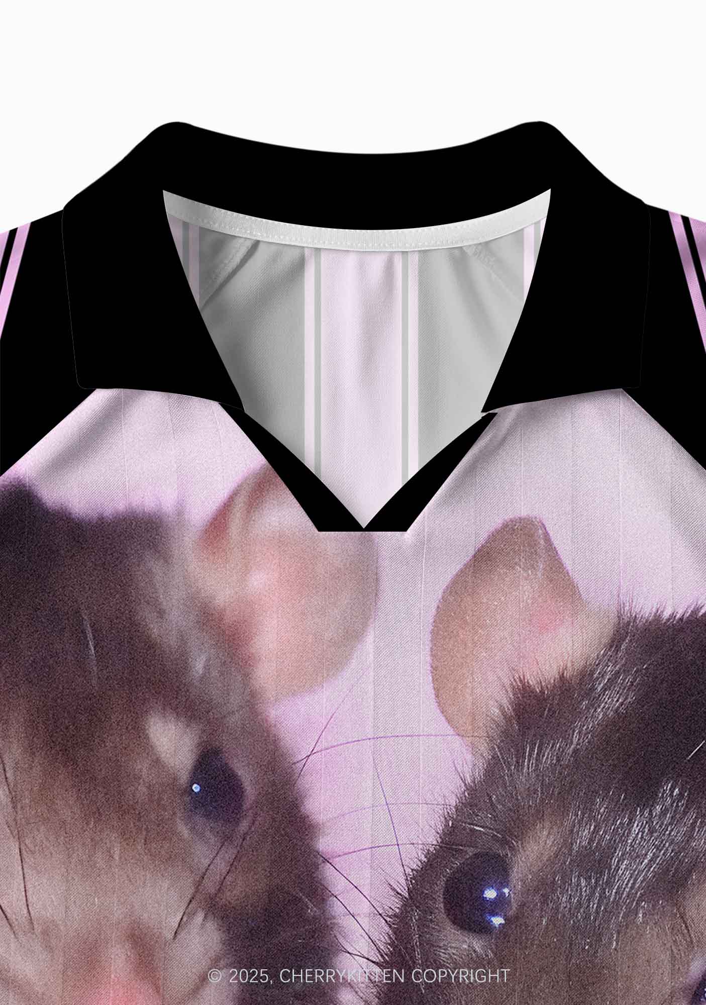 Custom Cheese Rat Y2K Long Sleeve Sport Jersey Shirts Cherrykitten - Image 4