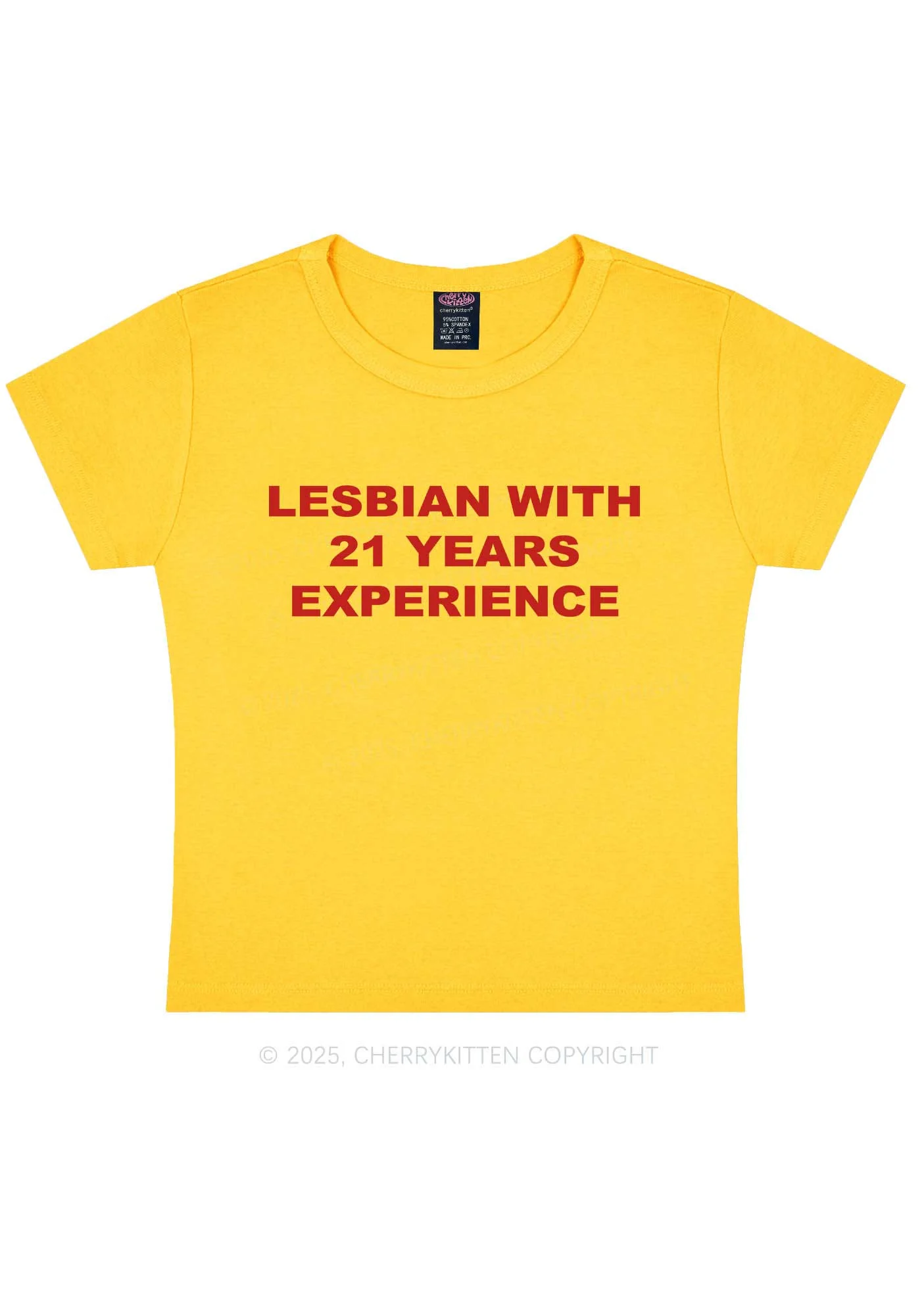 Custom Lesbian Experience Pride Y2K Baby Tee Cherrykitten - Image 5
