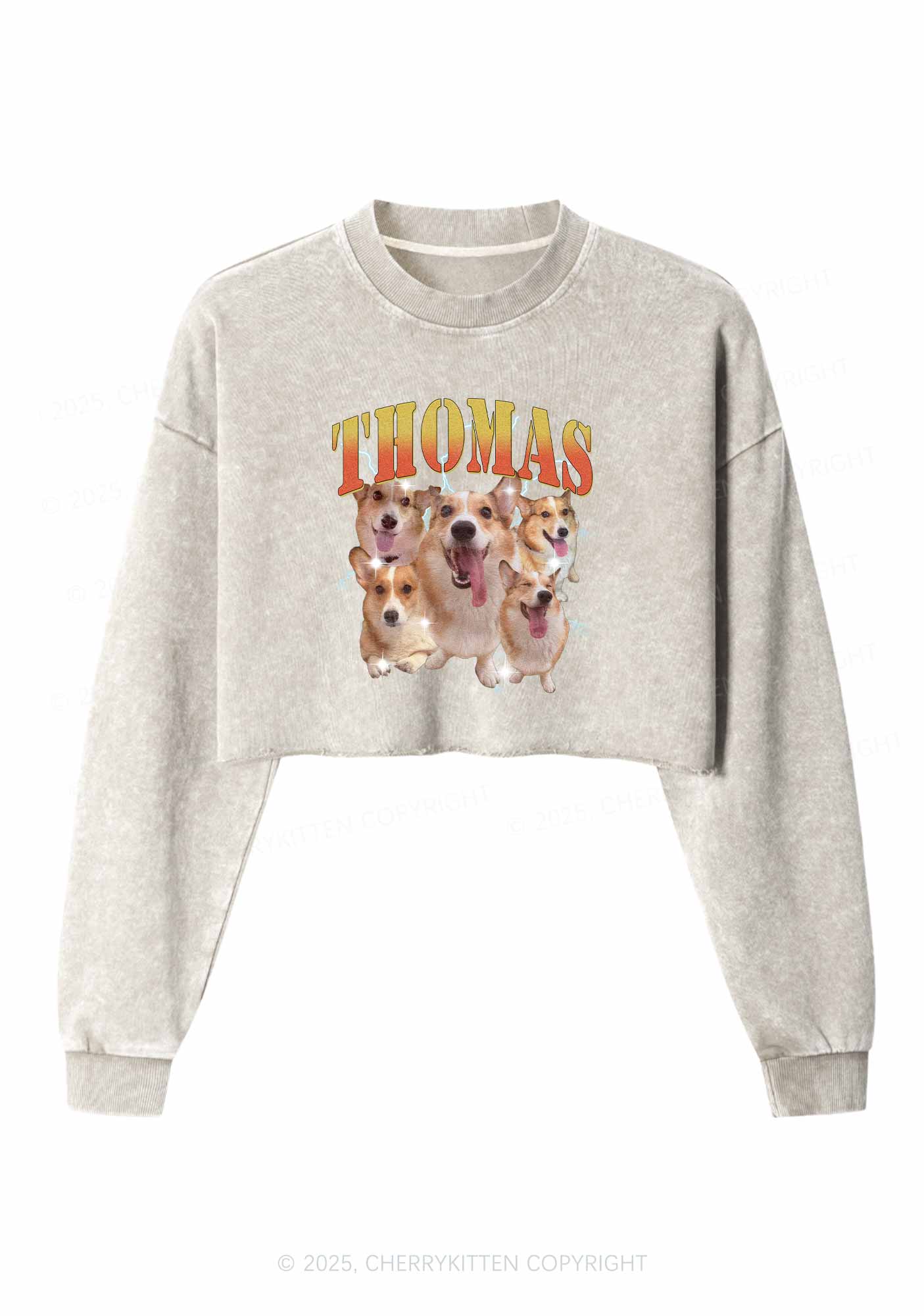 Custom Pet Photo Y2K Crop Washed Sweatshirts Cherrykitten - Image 3
