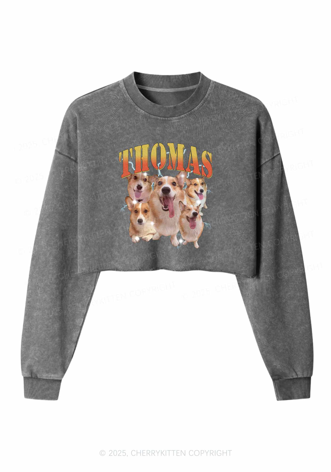 Custom Pet Photo Y2K Crop Washed Sweatshirts Cherrykitten - Image 4