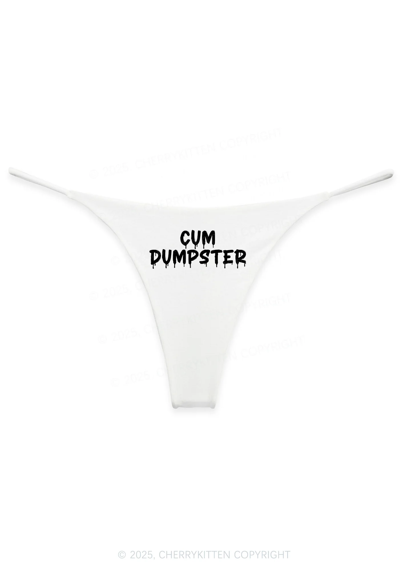 Cxm Dumpster Y2K Bikini String Thong Cherrykitten - Image 4