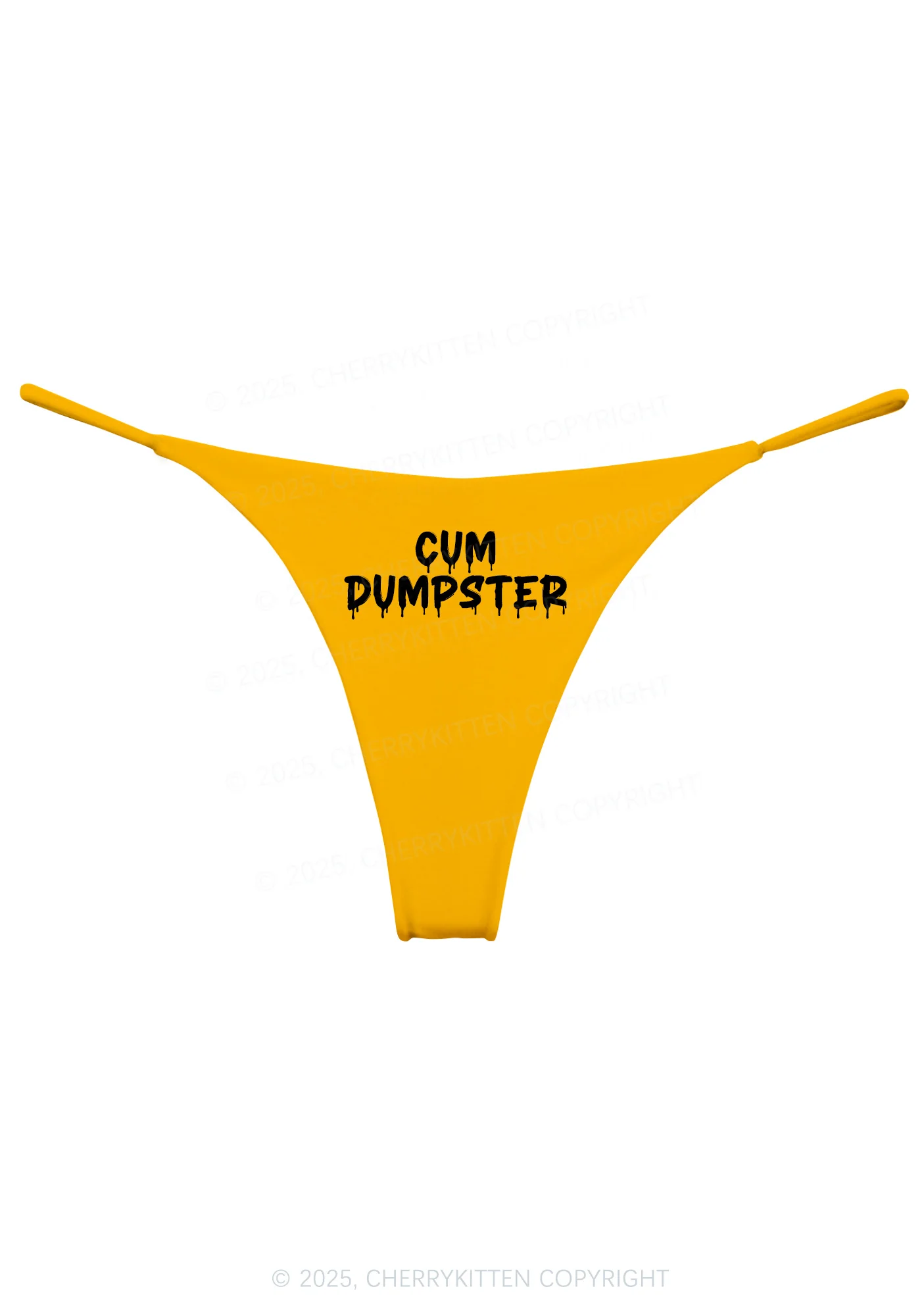 Cxm Dumpster Y2K Bikini String Thong Cherrykitten - Image 6