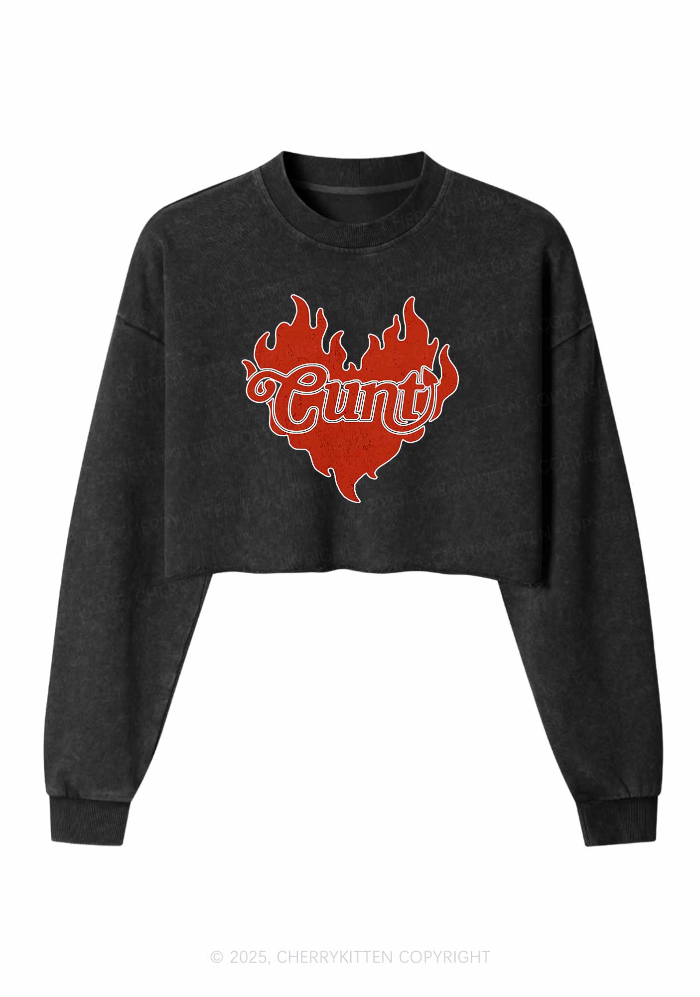 Cxxt Devil Y2K Valentine's Day Crop Washed Sweatshirts Cherrykitten - Image 3