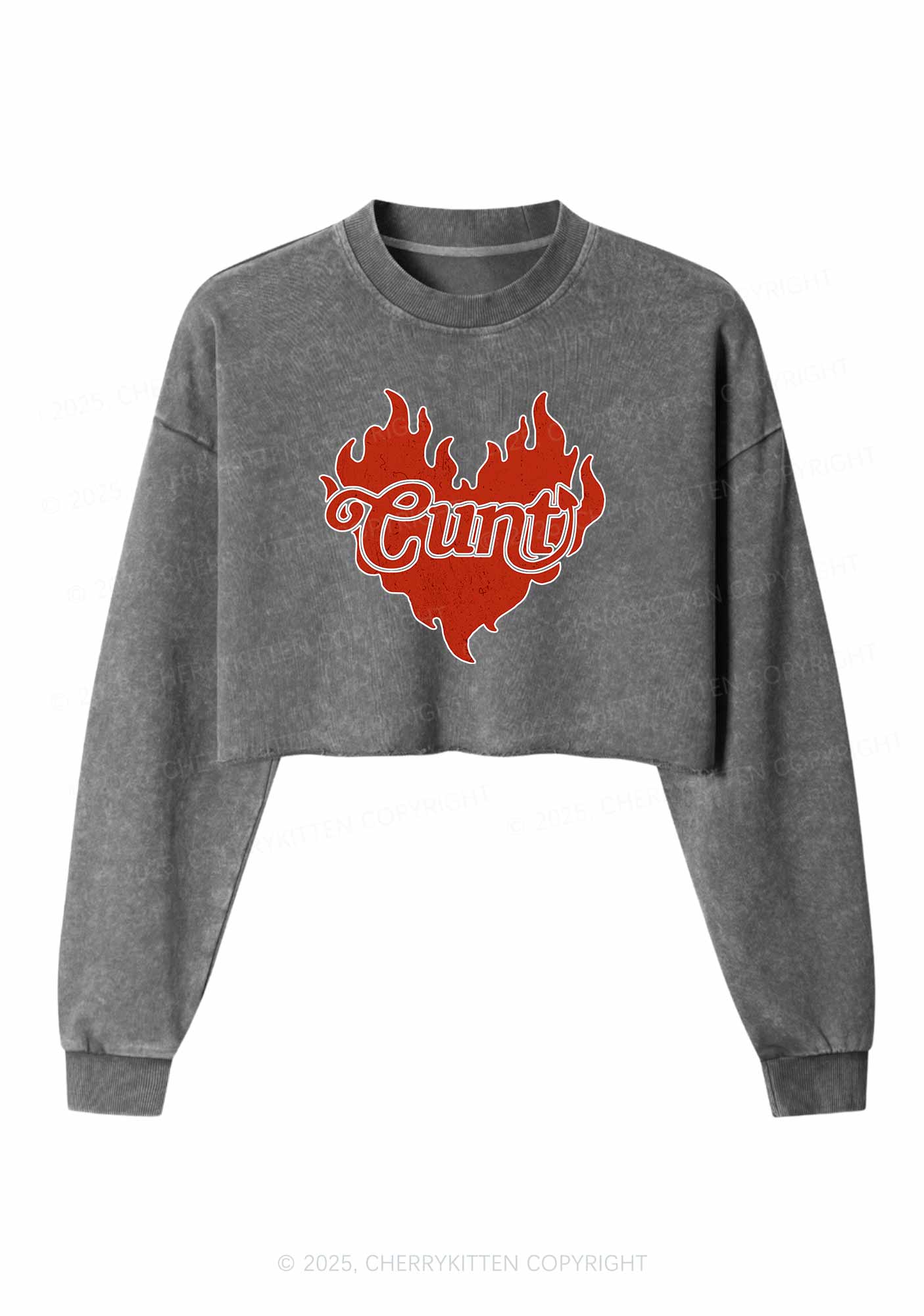 Cxxt Devil Y2K Valentine's Day Crop Washed Sweatshirts Cherrykitten - Image 4