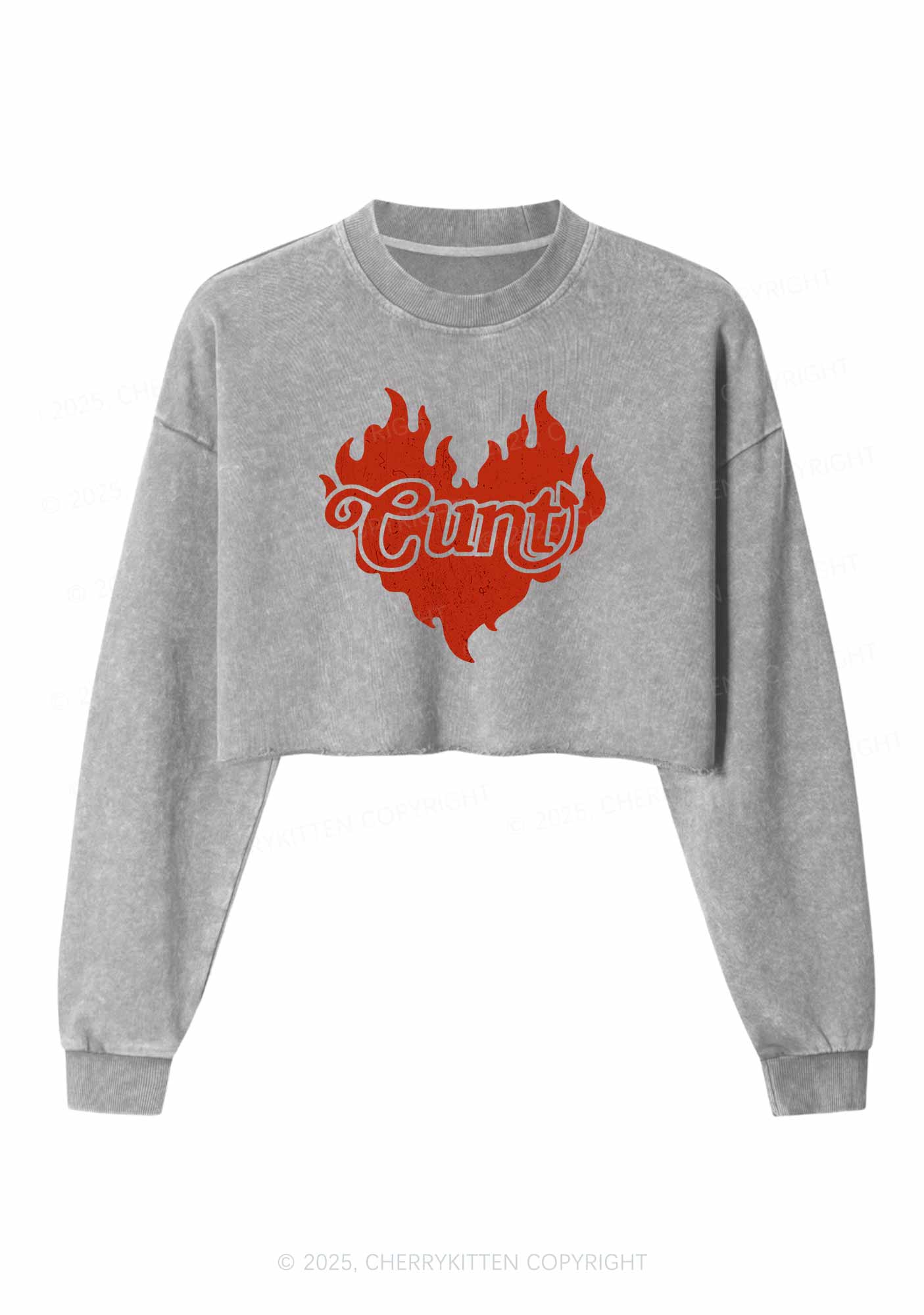 Cxxt Devil Y2K Valentine's Day Crop Washed Sweatshirts Cherrykitten - Image 5