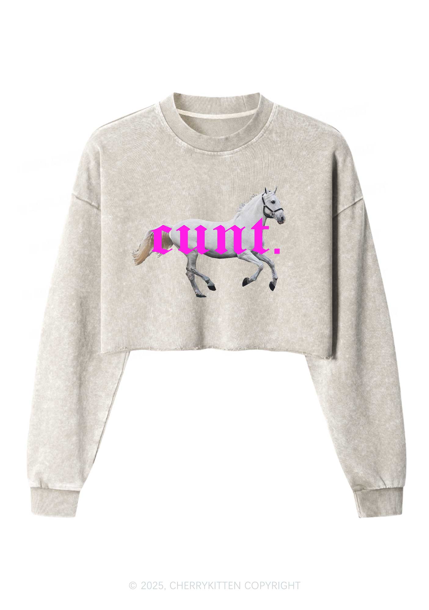 Cxxt Horse Y2K Crop Washed Sweatshirts Cherrykitten - Image 4