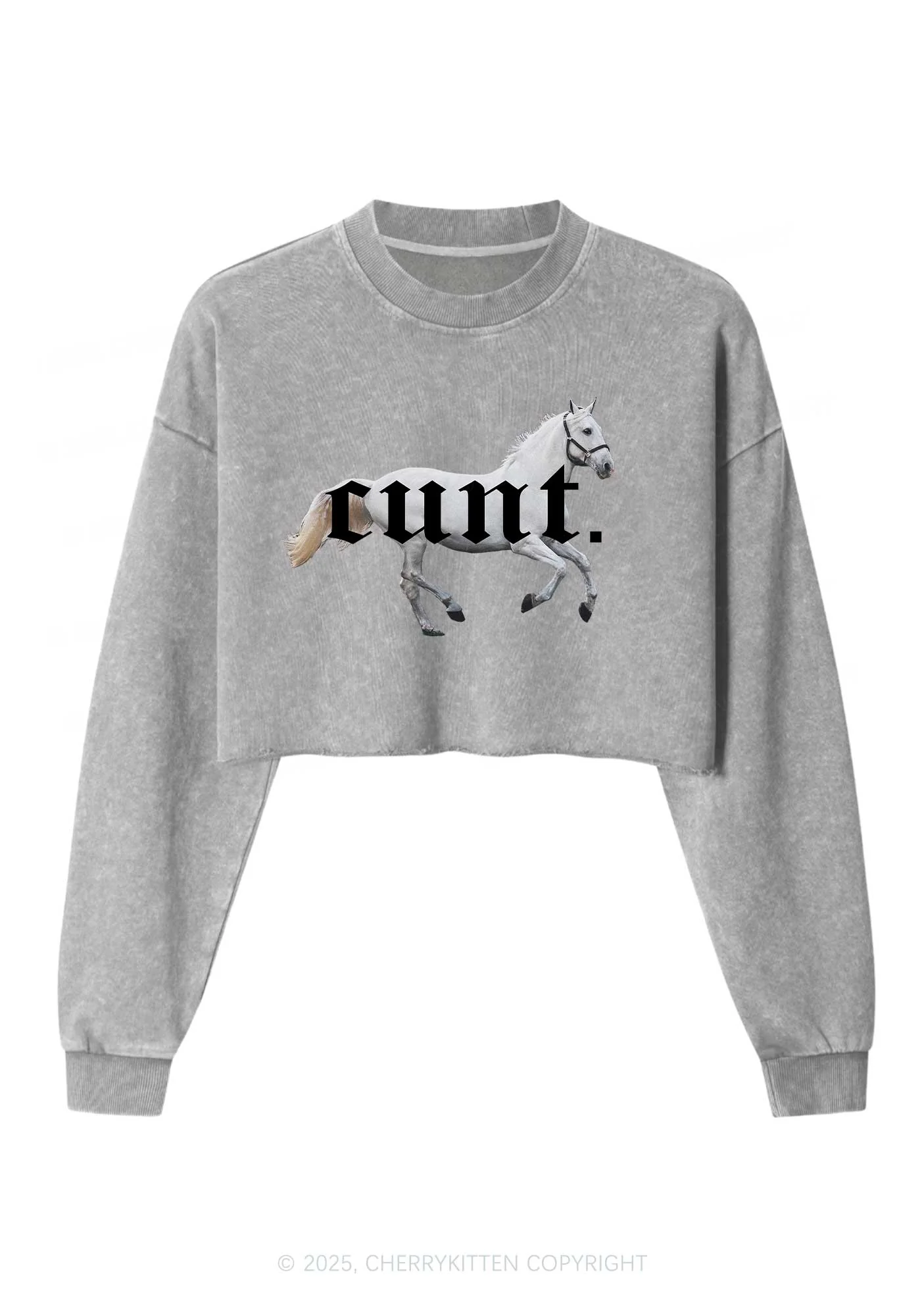 Cxxt Horse Y2K Crop Washed Sweatshirts Cherrykitten - Image 5