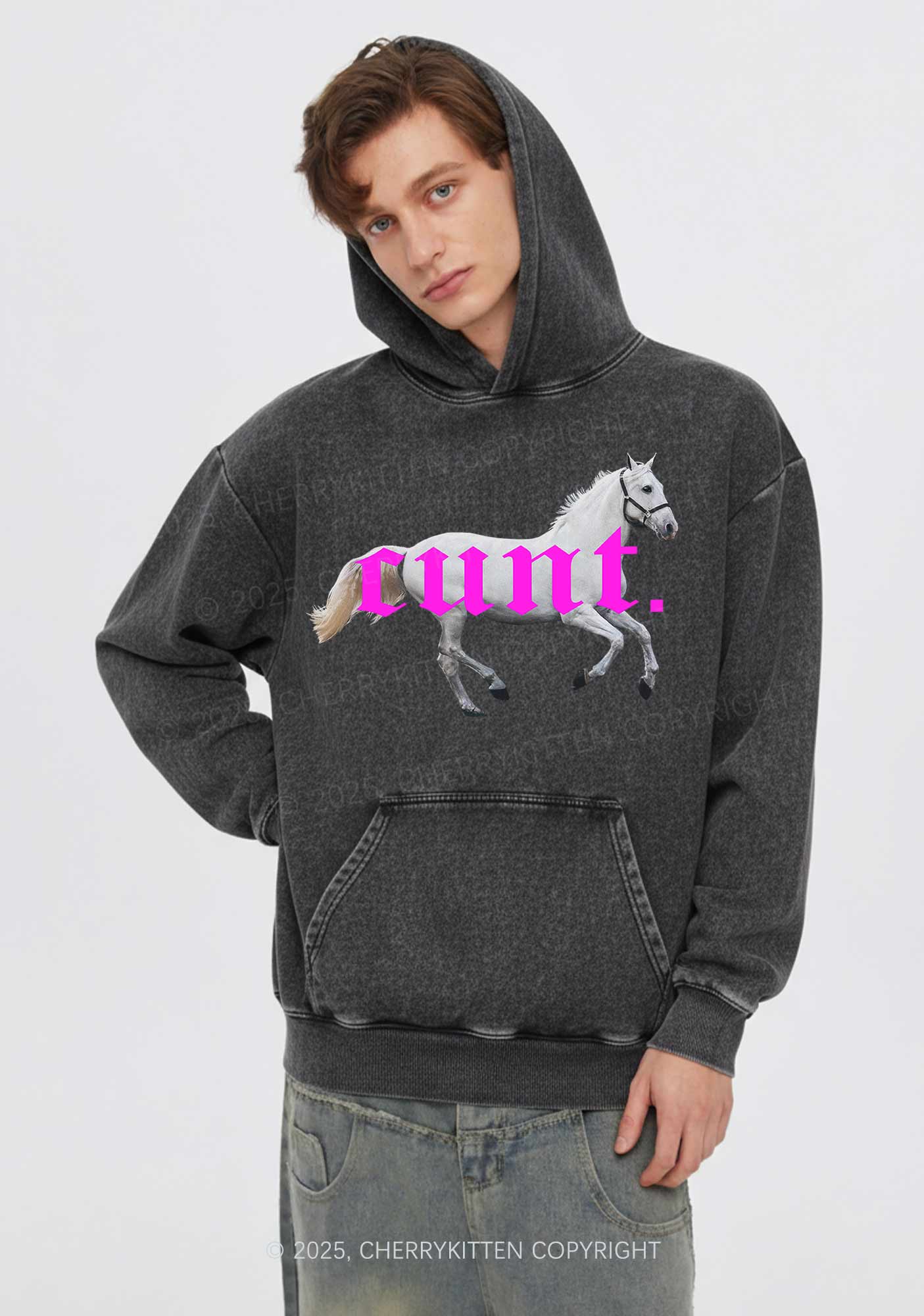 Cxxt Horse Y2K Washed Hoodie Cherrykitten - Image 2