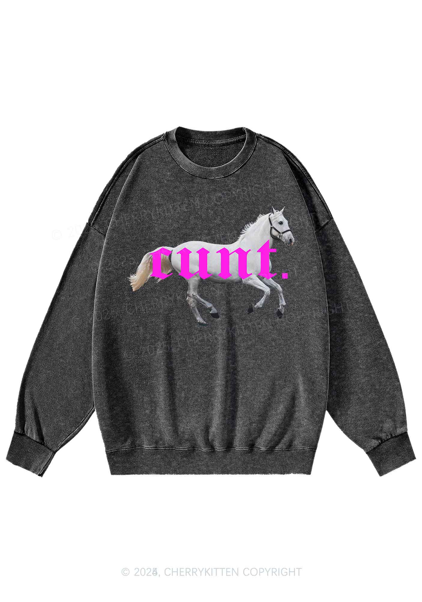 Cxxt Horse Y2K Washed Sweatshirts Cherrykitten - Image 3