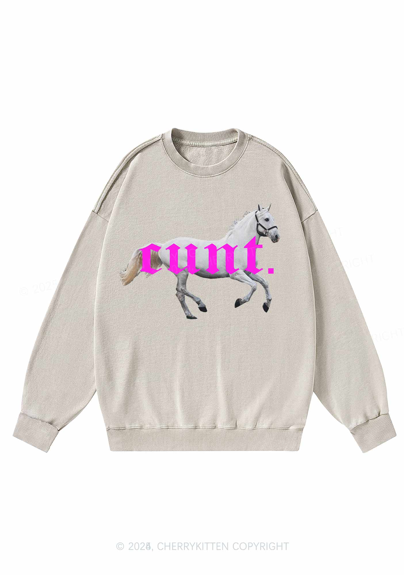 Cxxt Horse Y2K Washed Sweatshirts Cherrykitten - Image 4