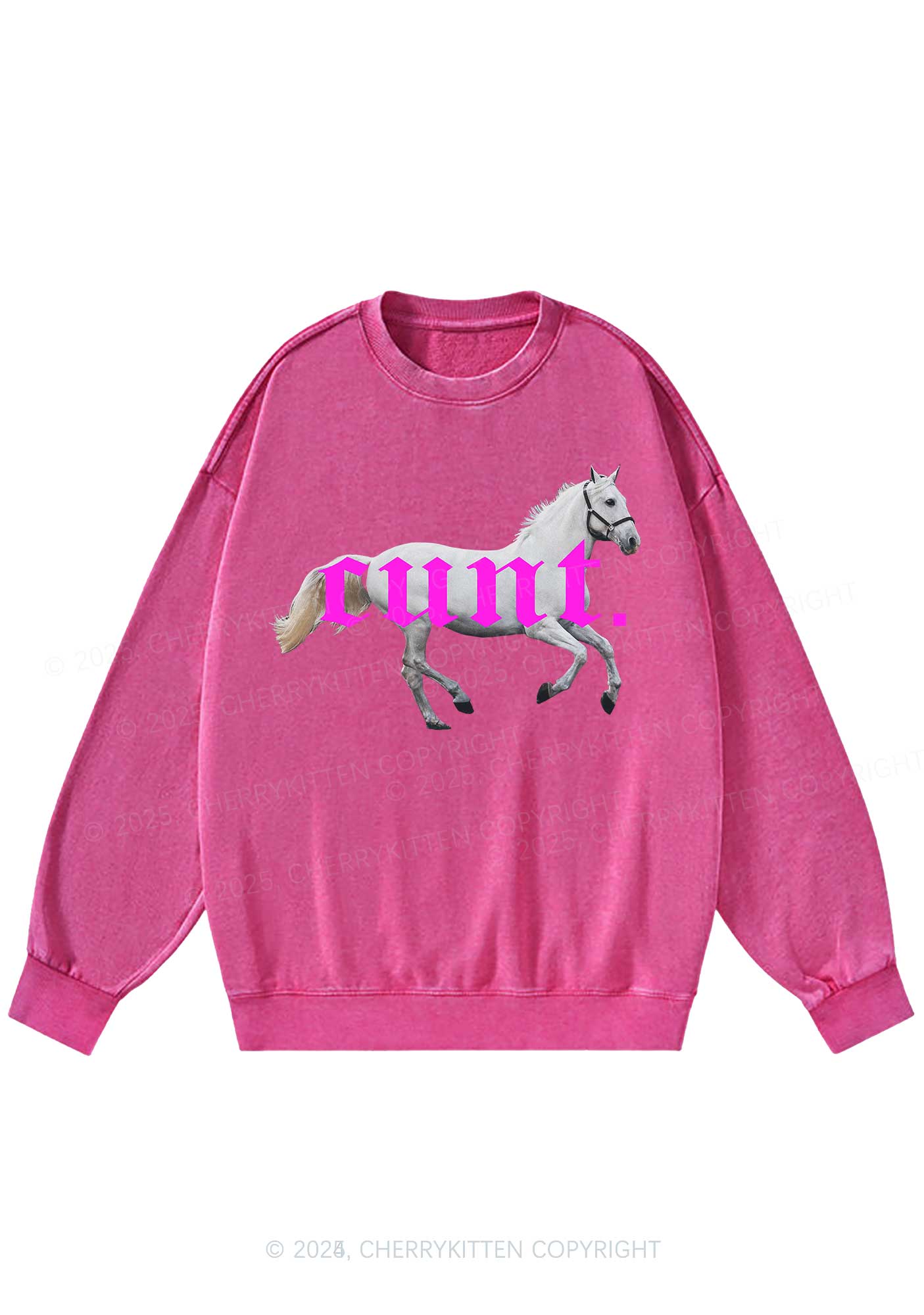 Cxxt Horse Y2K Washed Sweatshirts Cherrykitten - Image 5
