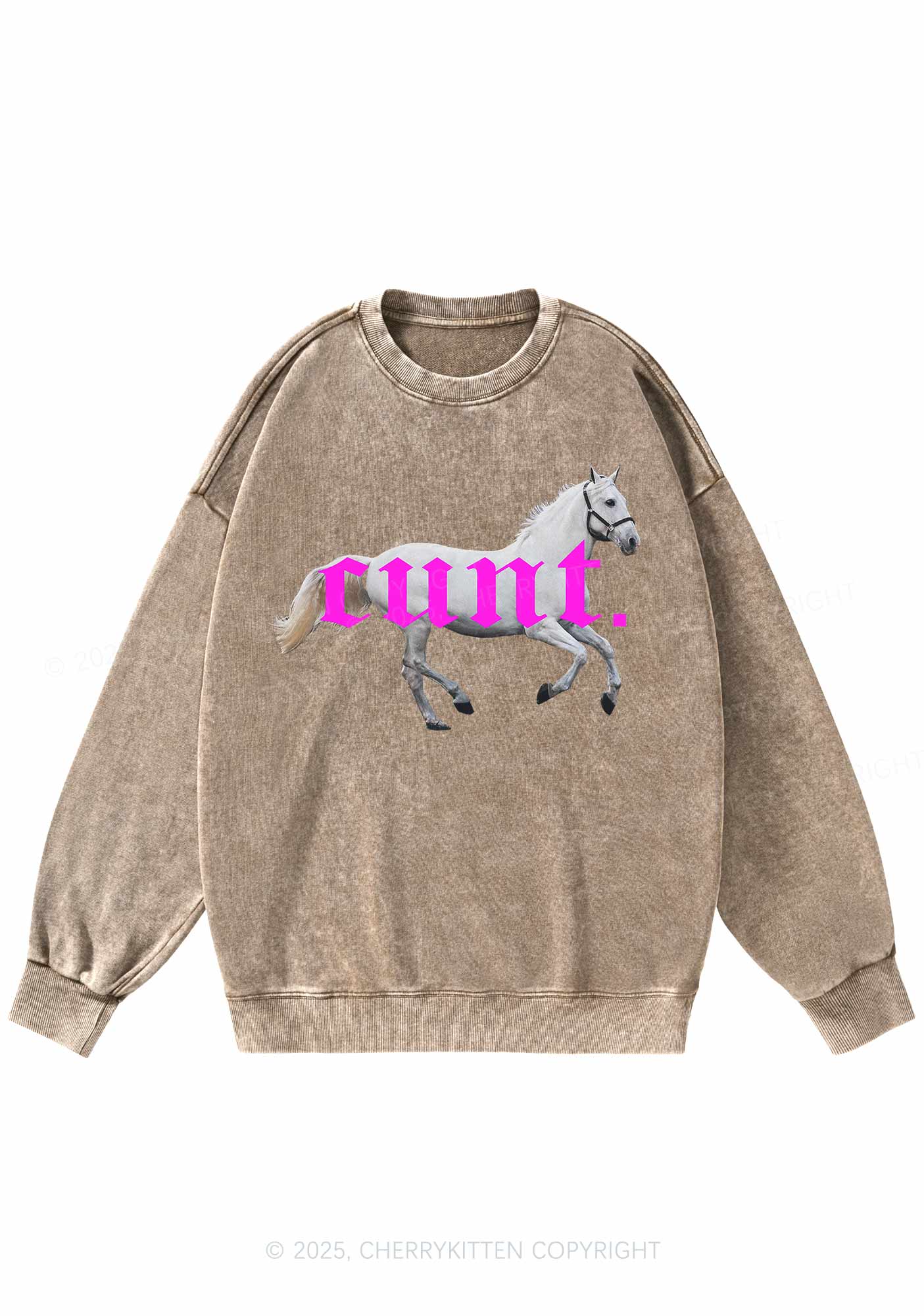 Cxxt Horse Y2K Washed Sweatshirts Cherrykitten - Image 6