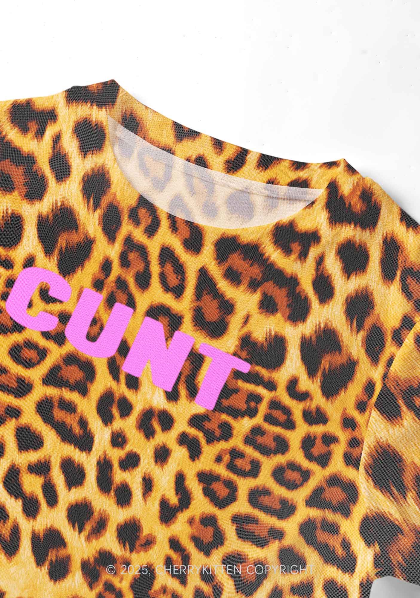 Cxxt Leopard Y2K Mesh Crop Top Cherrykitten - Image 2