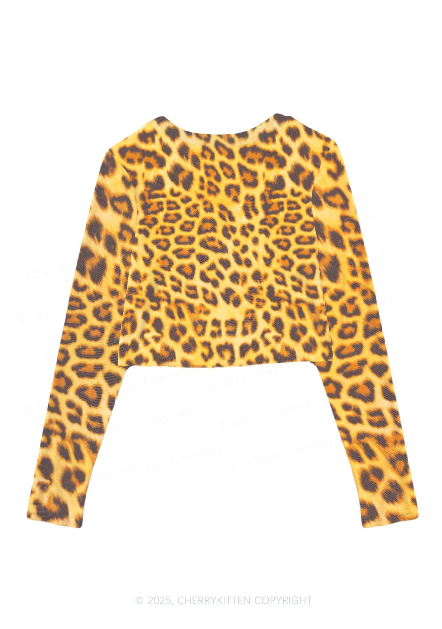 Cxxt Leopard Y2K Mesh Long Sleeve Crop Top Cherrykitten - Image 2