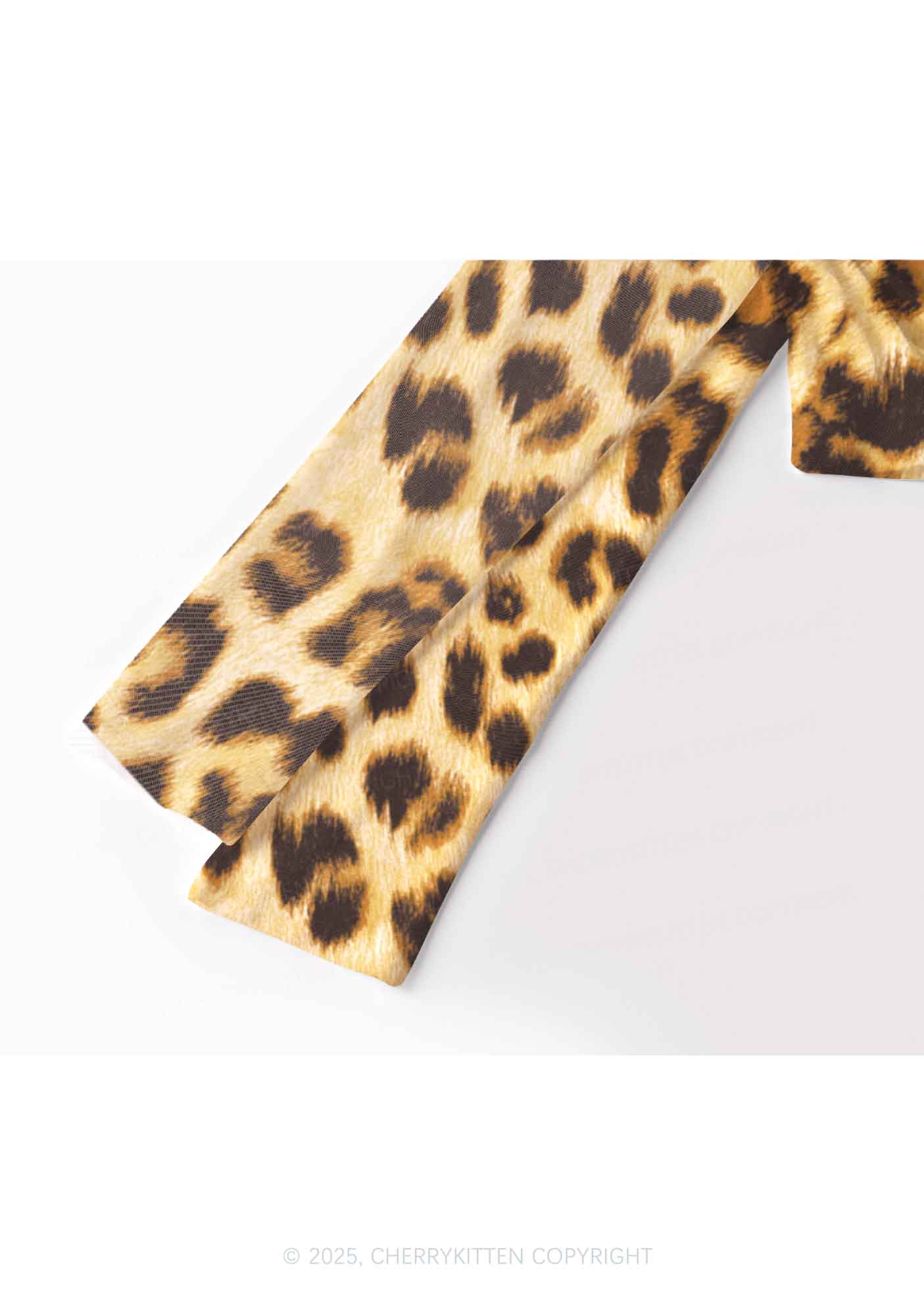 Cxxt Leopard Y2K Mesh Long Sleeve Crop Top Cherrykitten - Image 3