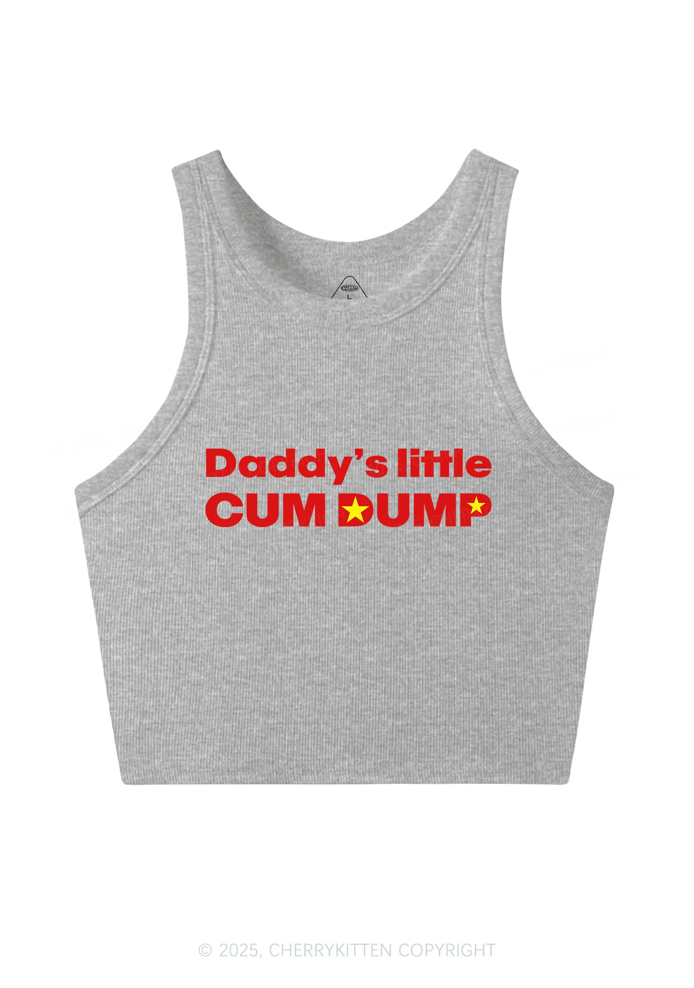 Daddys Little Cum Dump Y2K Crop Tank Top Cherrykitten - Image 5