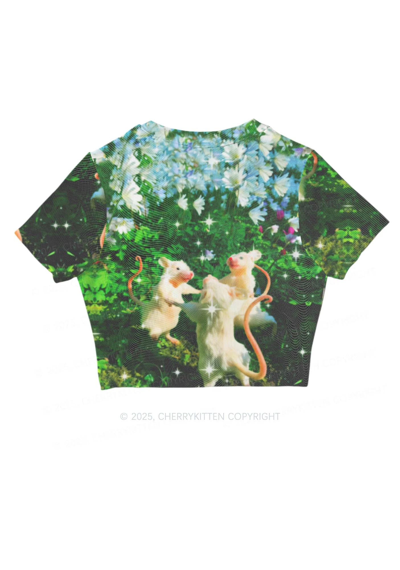 Dancing Rat Y2K Mesh Crop Top Cherrykitten Art by OhStuffinell Taxidermy - Image 5