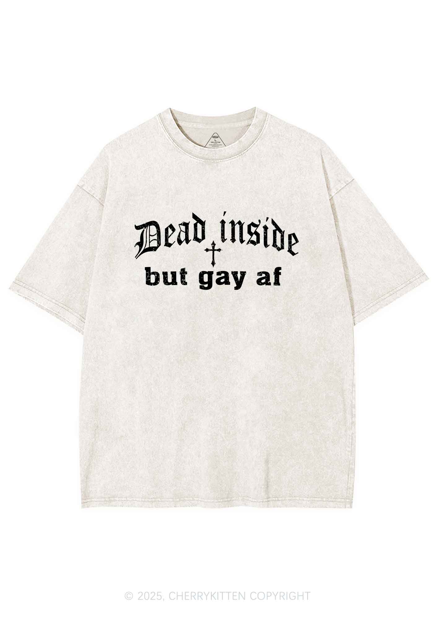 Dead Inside But Gay AF Pride Y2K Shirts Washed Tee Cherrykitten - Image 3