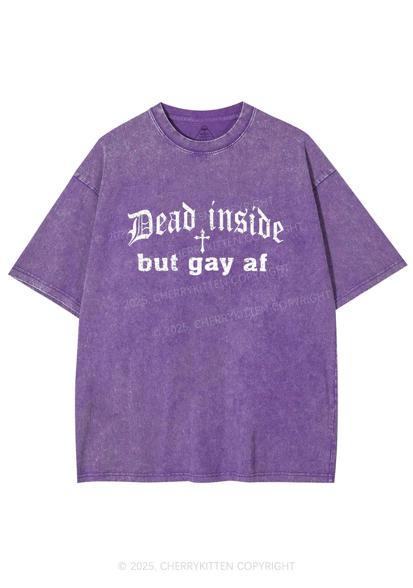 Dead Inside But Gay AF Pride Y2K Shirts Washed Tee Cherrykitten - Image 5