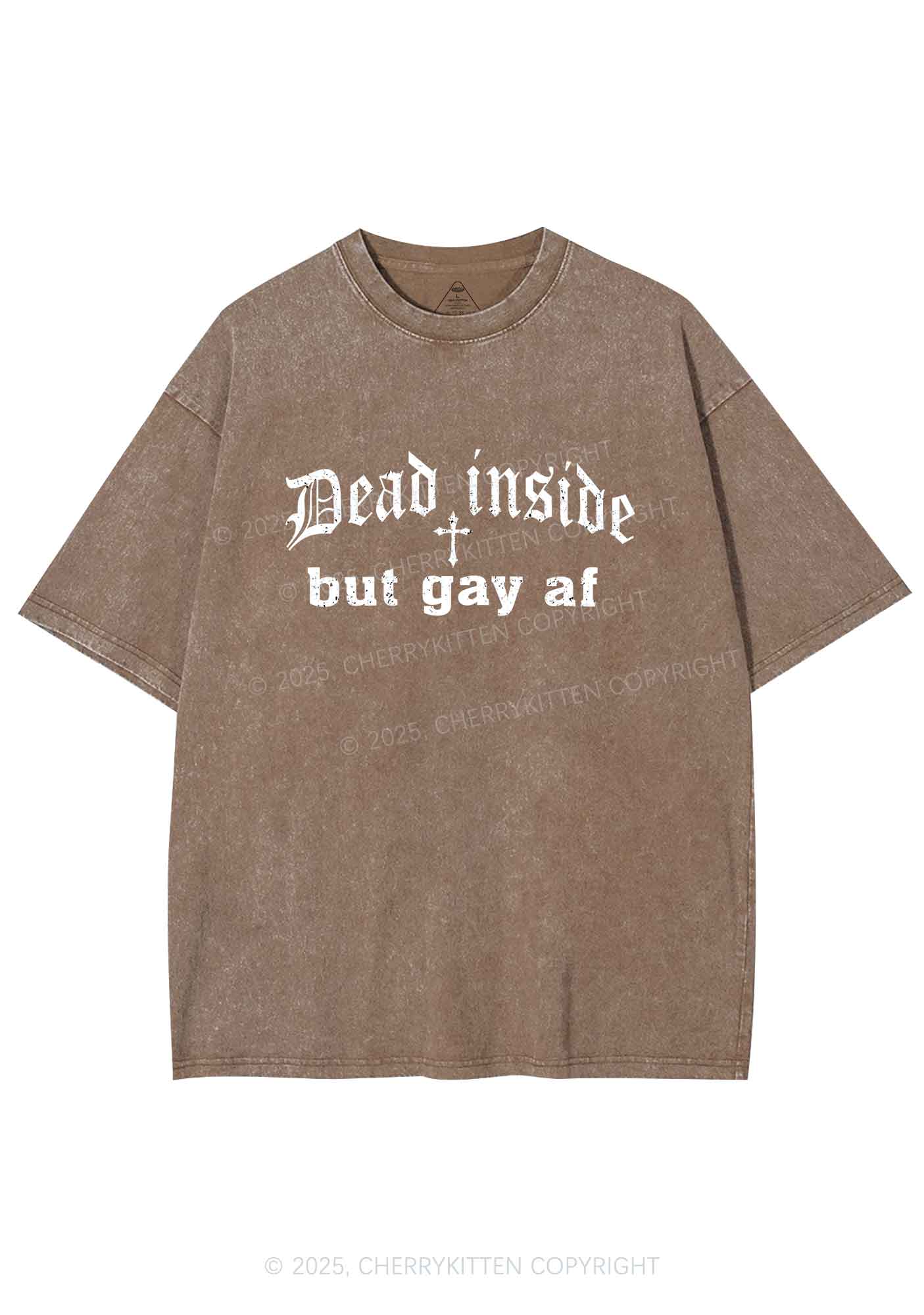 Dead Inside But Gay AF Pride Y2K Shirts Washed Tee Cherrykitten - Image 6
