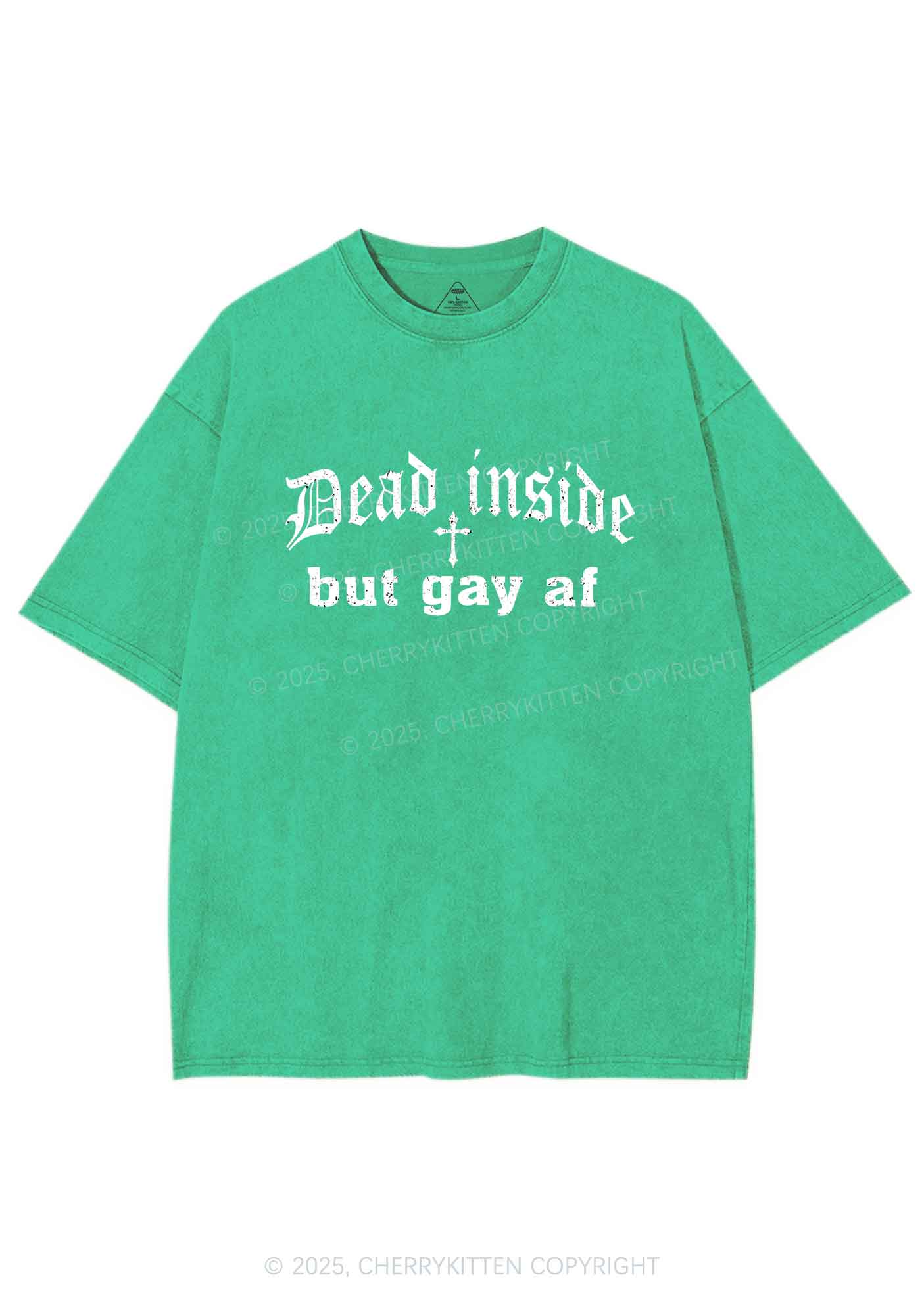 Dead Inside But Gay AF Pride Y2K Shirts Washed Tee Cherrykitten - Image 8