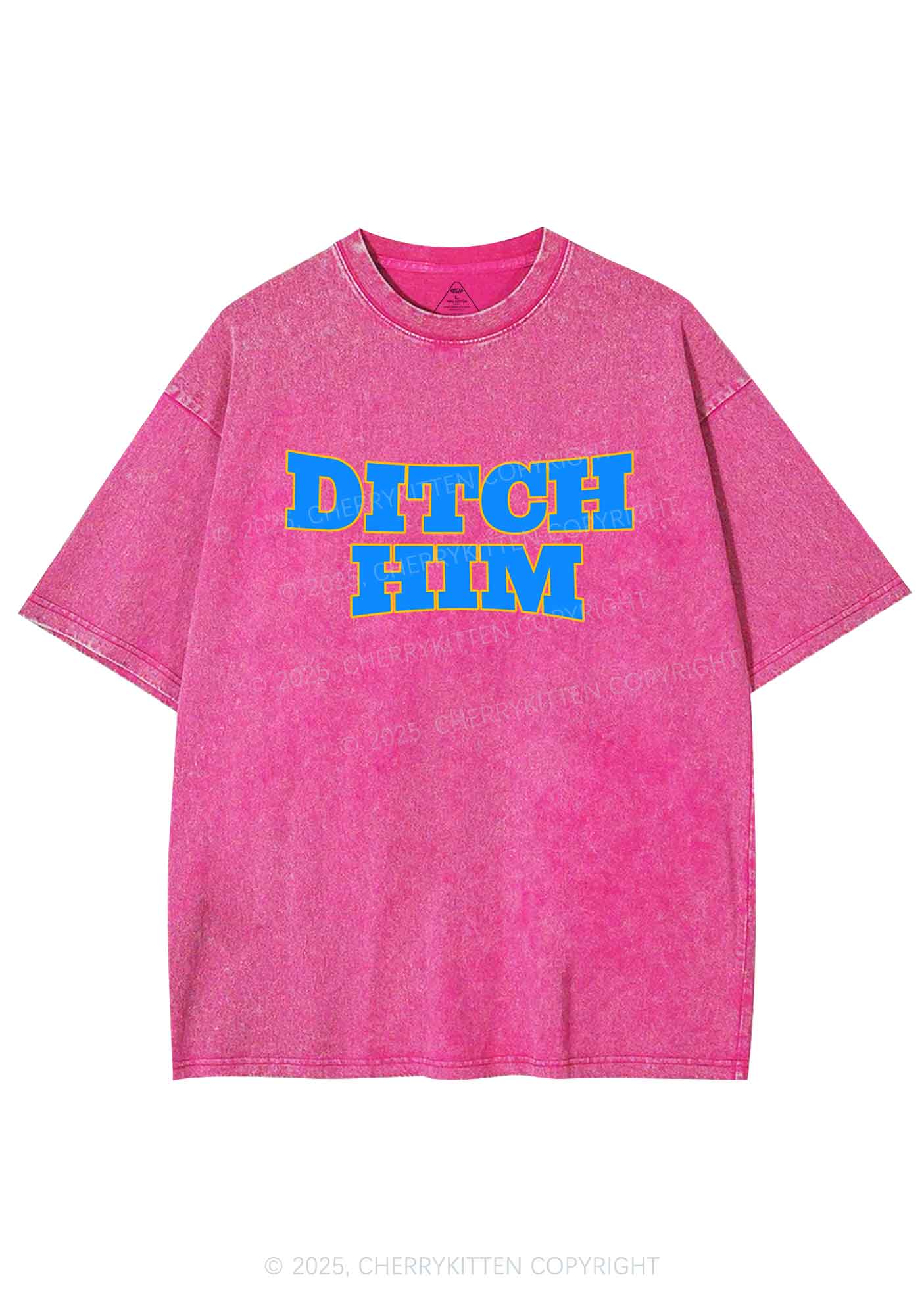 Ditch Him Pride Y2K Shirts Washed Tee Cherrykitten - Image 4