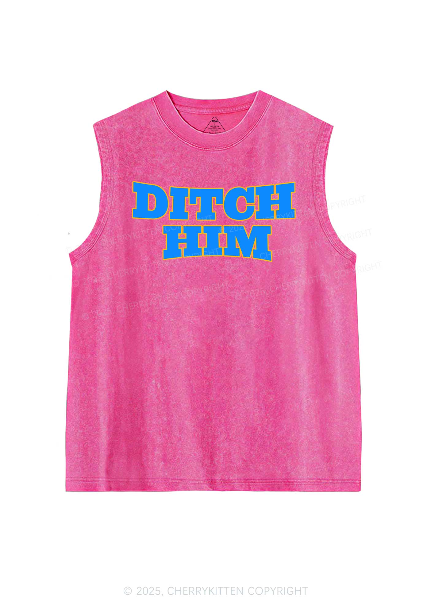 Ditch Him Pride Y2K Washed Muscle Tank Cherrykitten - Image 4