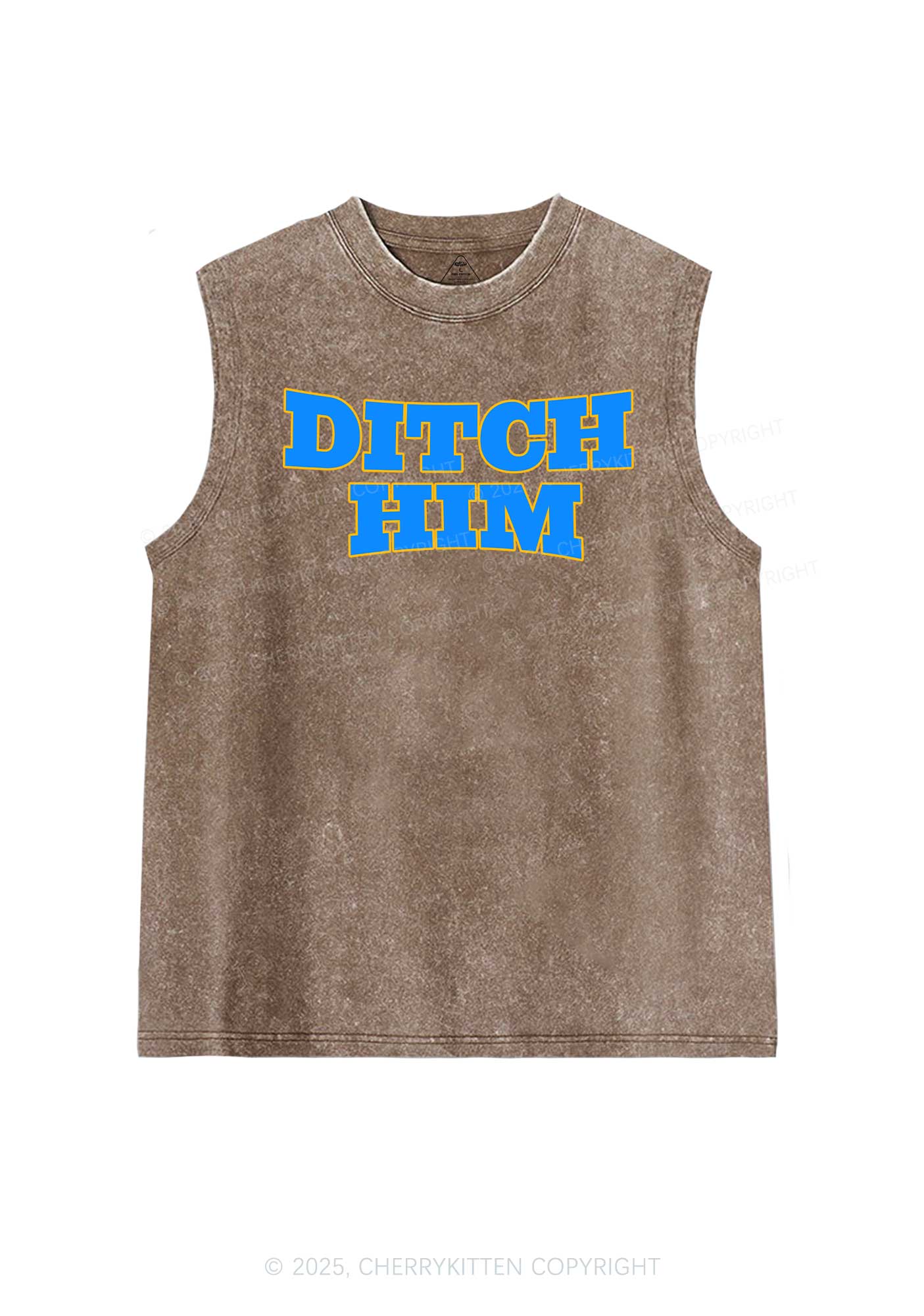 Ditch Him Pride Y2K Washed Muscle Tank Cherrykitten - Image 6