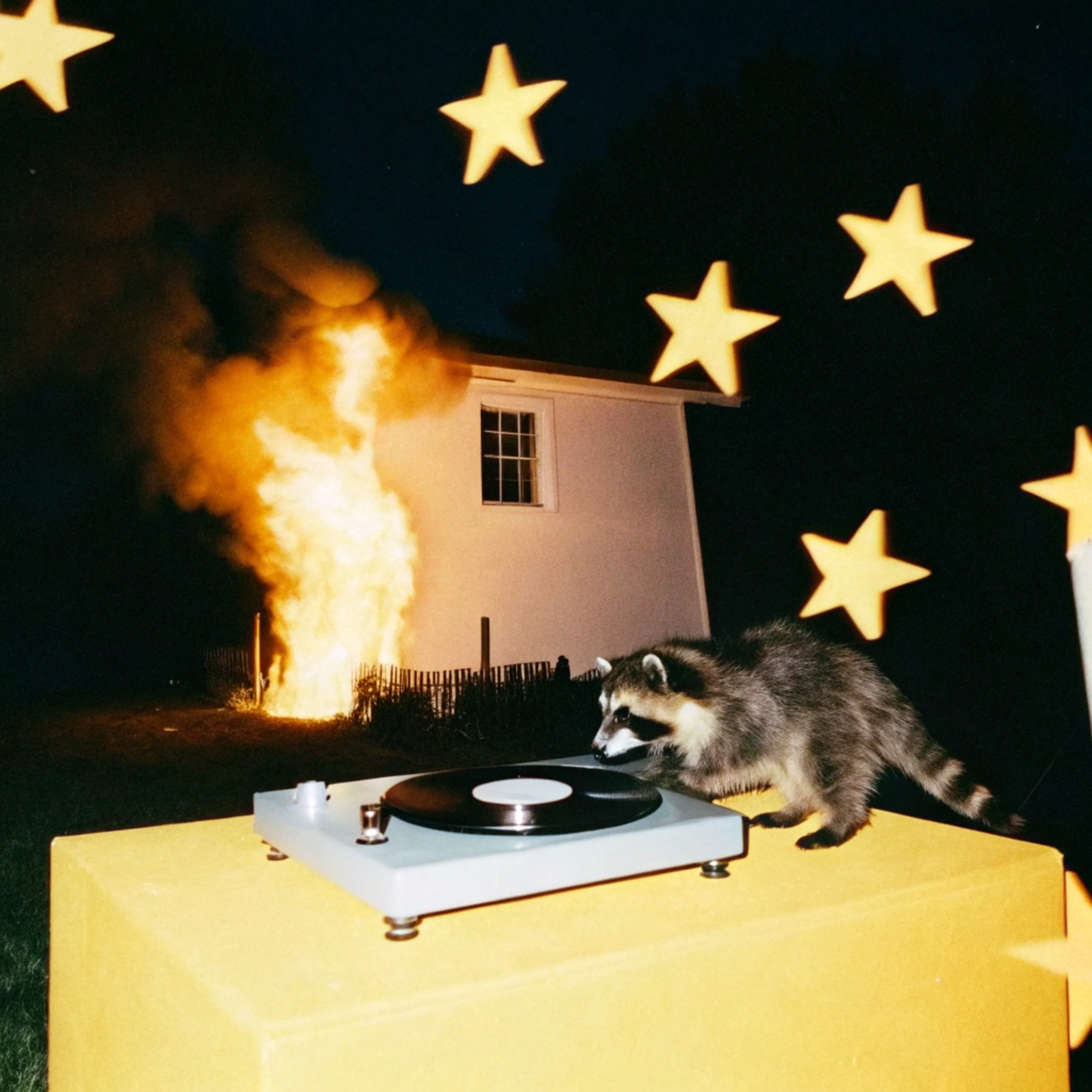 DJ Raccoon Y2K Mesh Crop Top Cherrykitten - Image 2