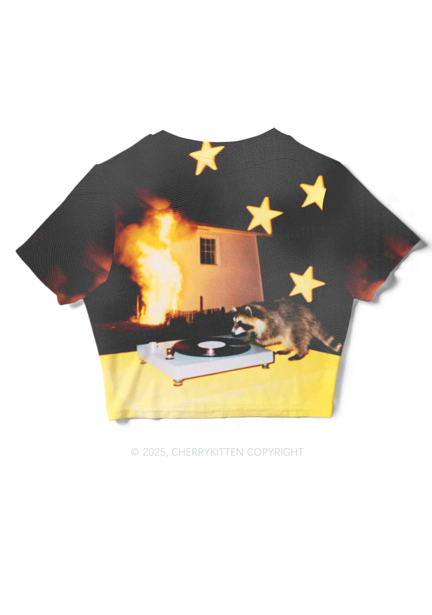 DJ Raccoon Y2K Mesh Crop Top Cherrykitten - Image 5