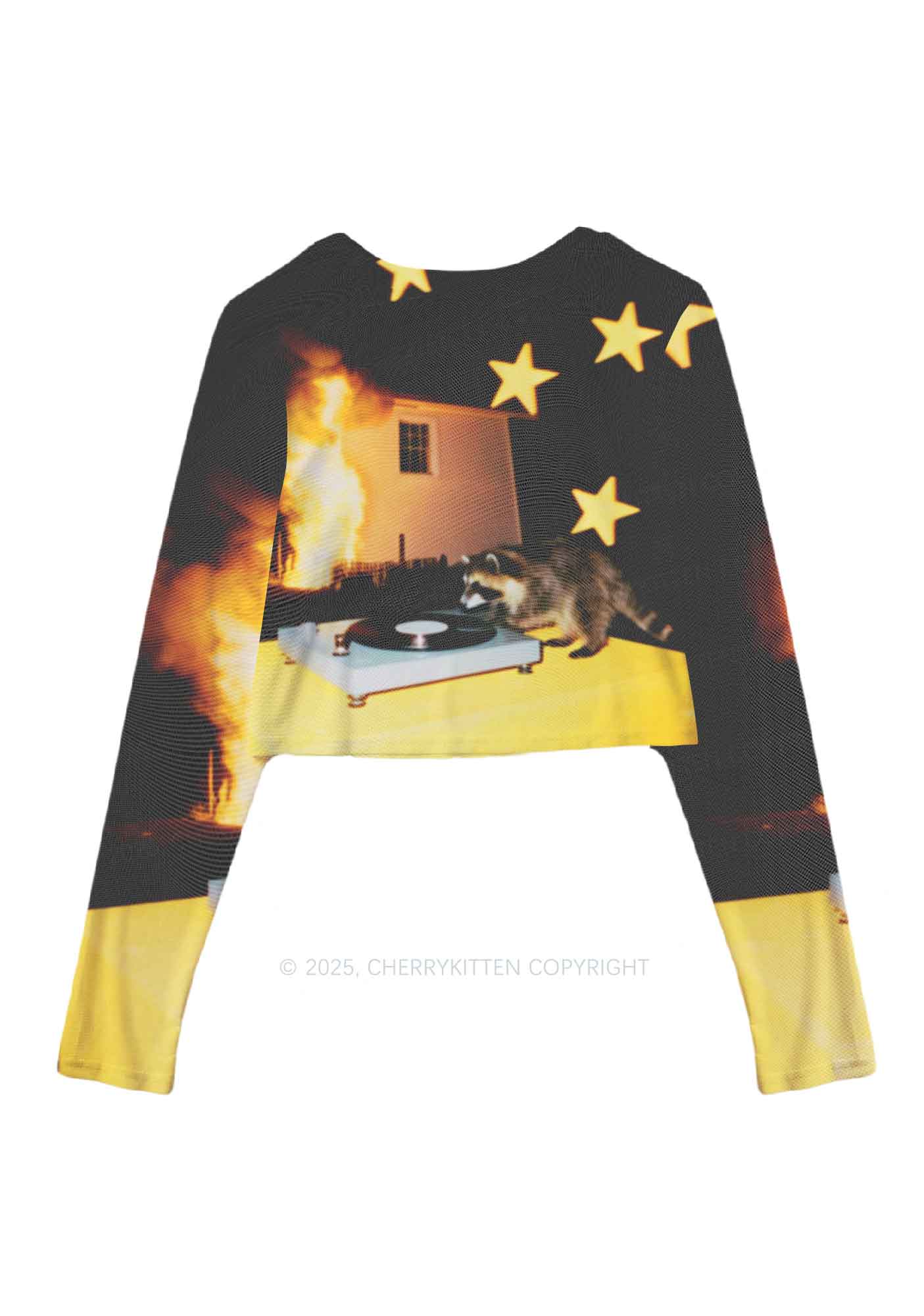 DJ Raccoon Y2K Mesh Long Sleeve Crop Top Cherrykitten - Image 3