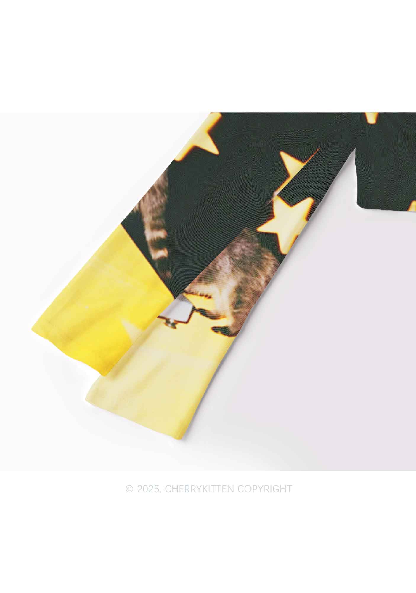 DJ Raccoon Y2K Mesh Long Sleeve Crop Top Cherrykitten - Image 4