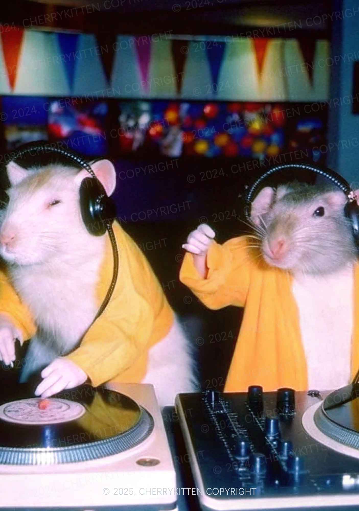 DJ Rats Y2K Print Cami Crop Top Cherrykitten - Image 2