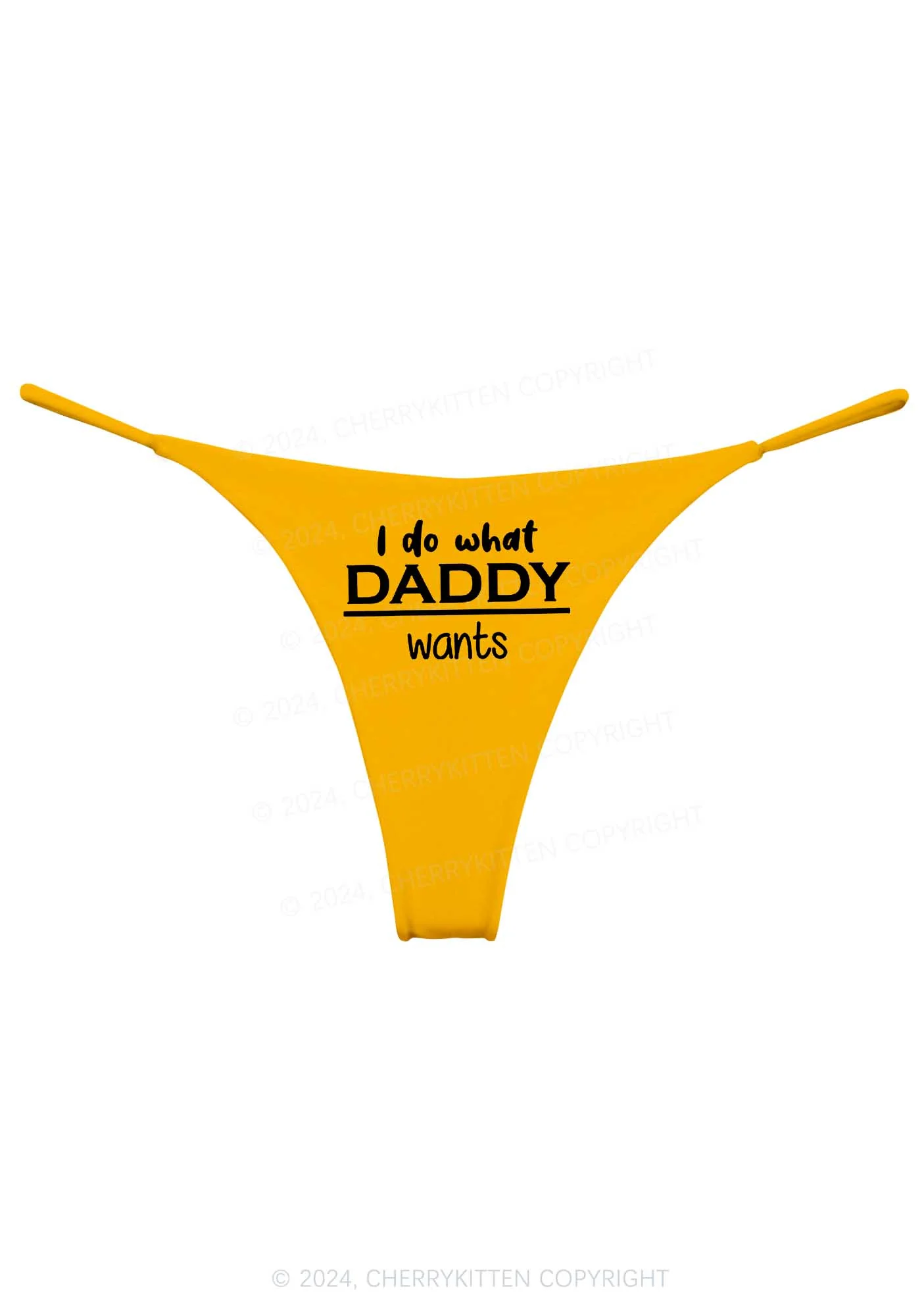 Do What Daddy Wants Y2K Bikini String Thong Cherrykitten - Image 8