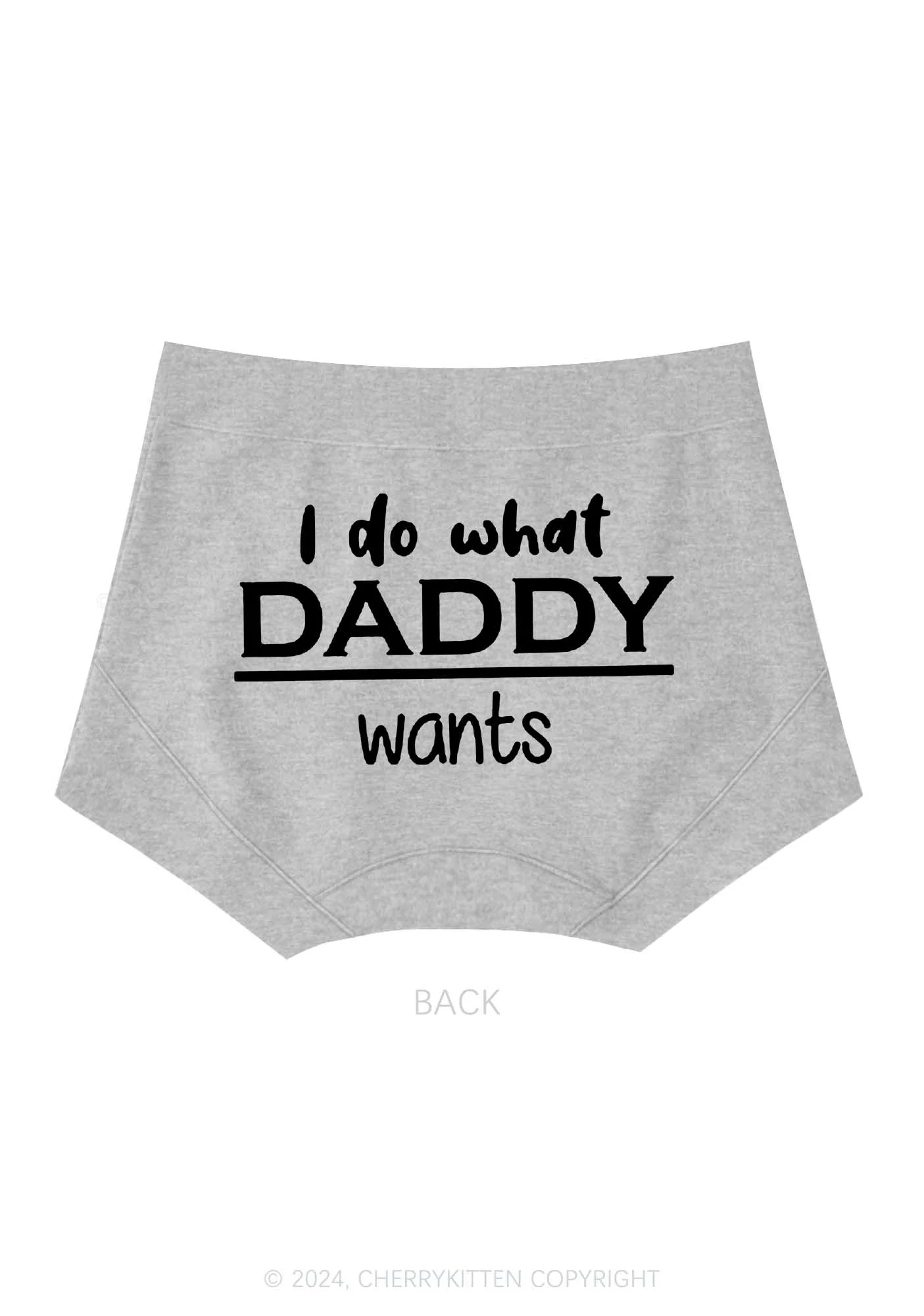 Do What Daddy Wants Y2K Mid Rise Waist Boyshort Cherrykitten - Image 5