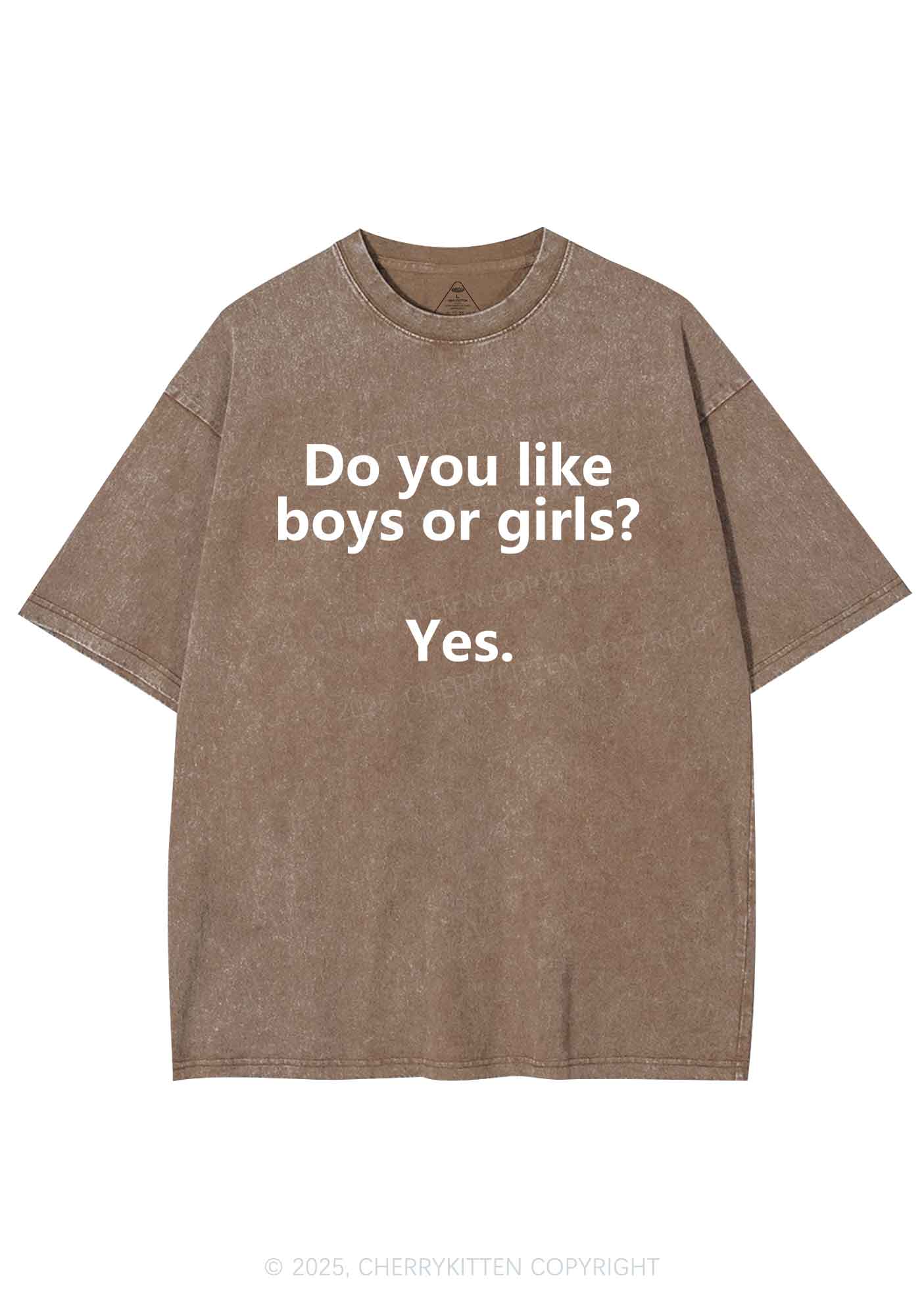 Do You Like Boys Or Girls Pride Y2K Shirts Washed Tee Cherrykitten - Image 7