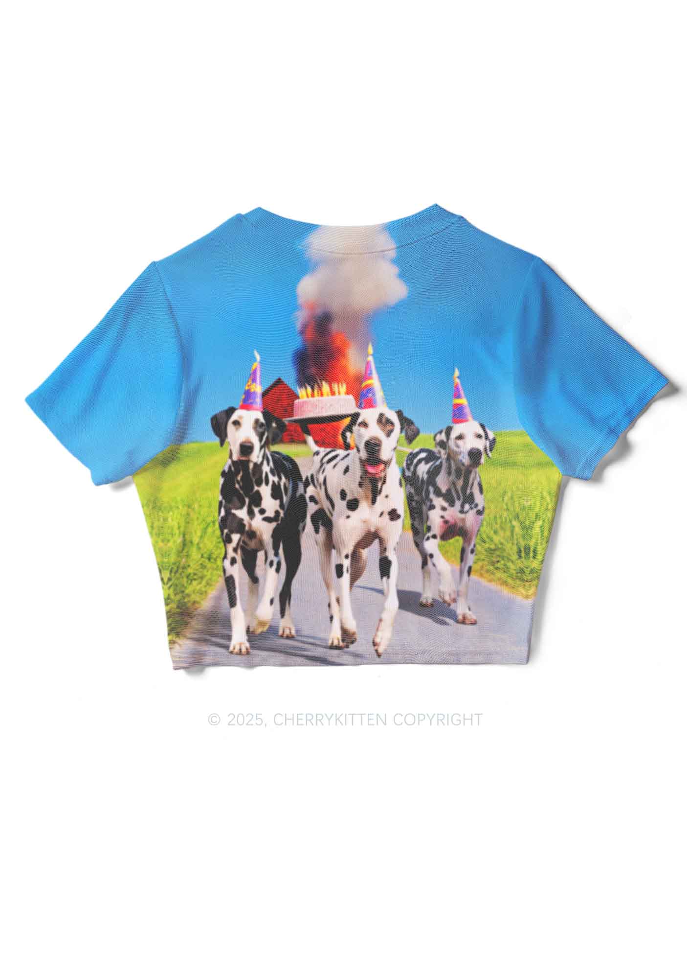 Dogs Birthday Party Y2K Mesh Crop Top Cherrykitten - Image 2