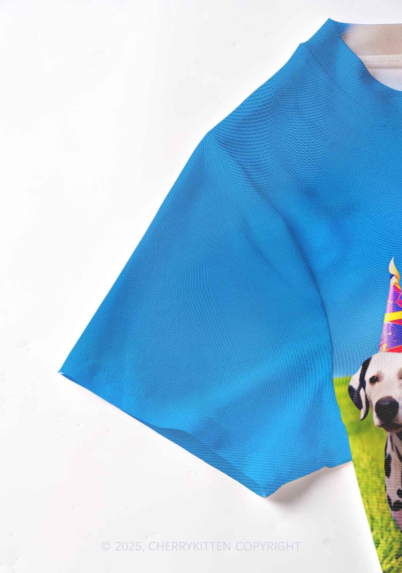 Dogs Birthday Party Y2K Mesh Crop Top Cherrykitten - Image 3