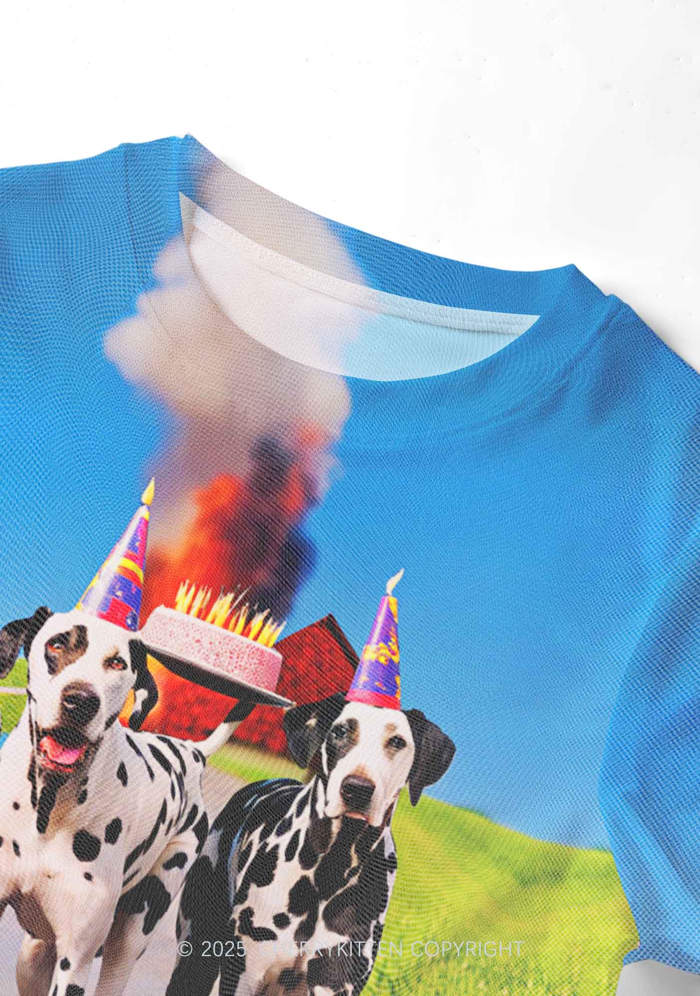 Dogs Birthday Party Y2K Mesh Crop Top Cherrykitten - Image 4