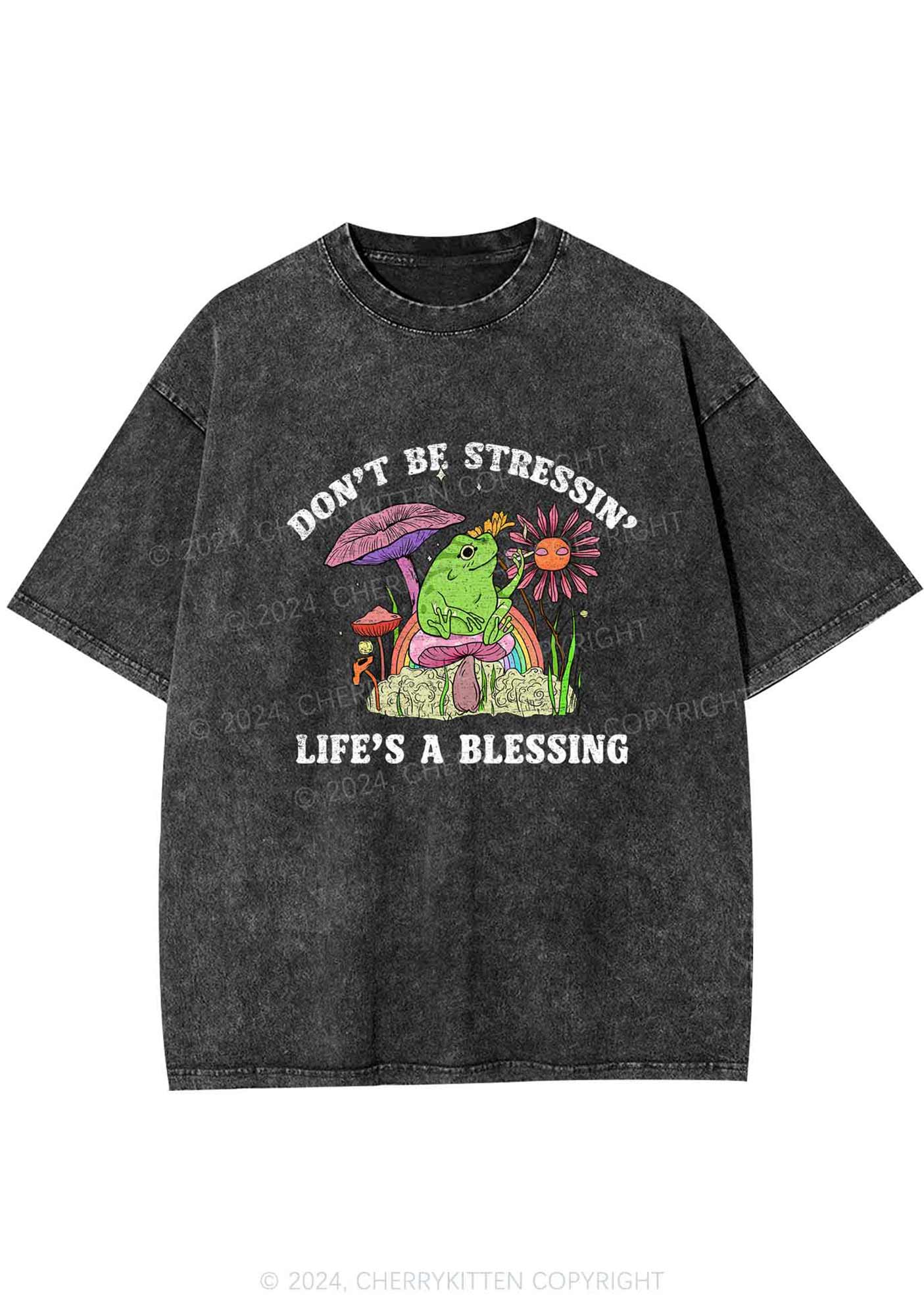 Don't Be Stressin Y2K Washed Tee Cherrykitten - Image 3