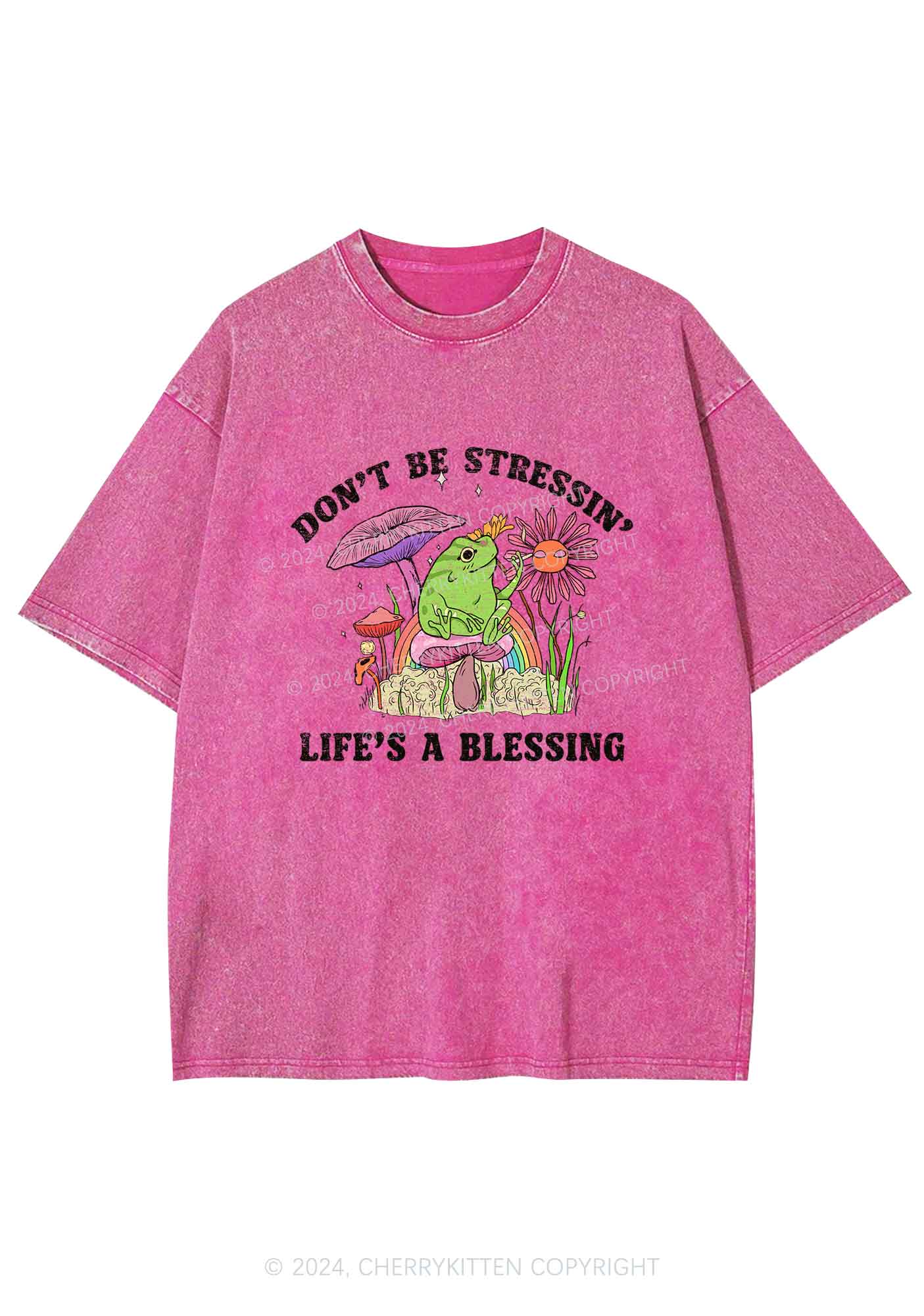 Don't Be Stressin Y2K Washed Tee Cherrykitten - Image 5