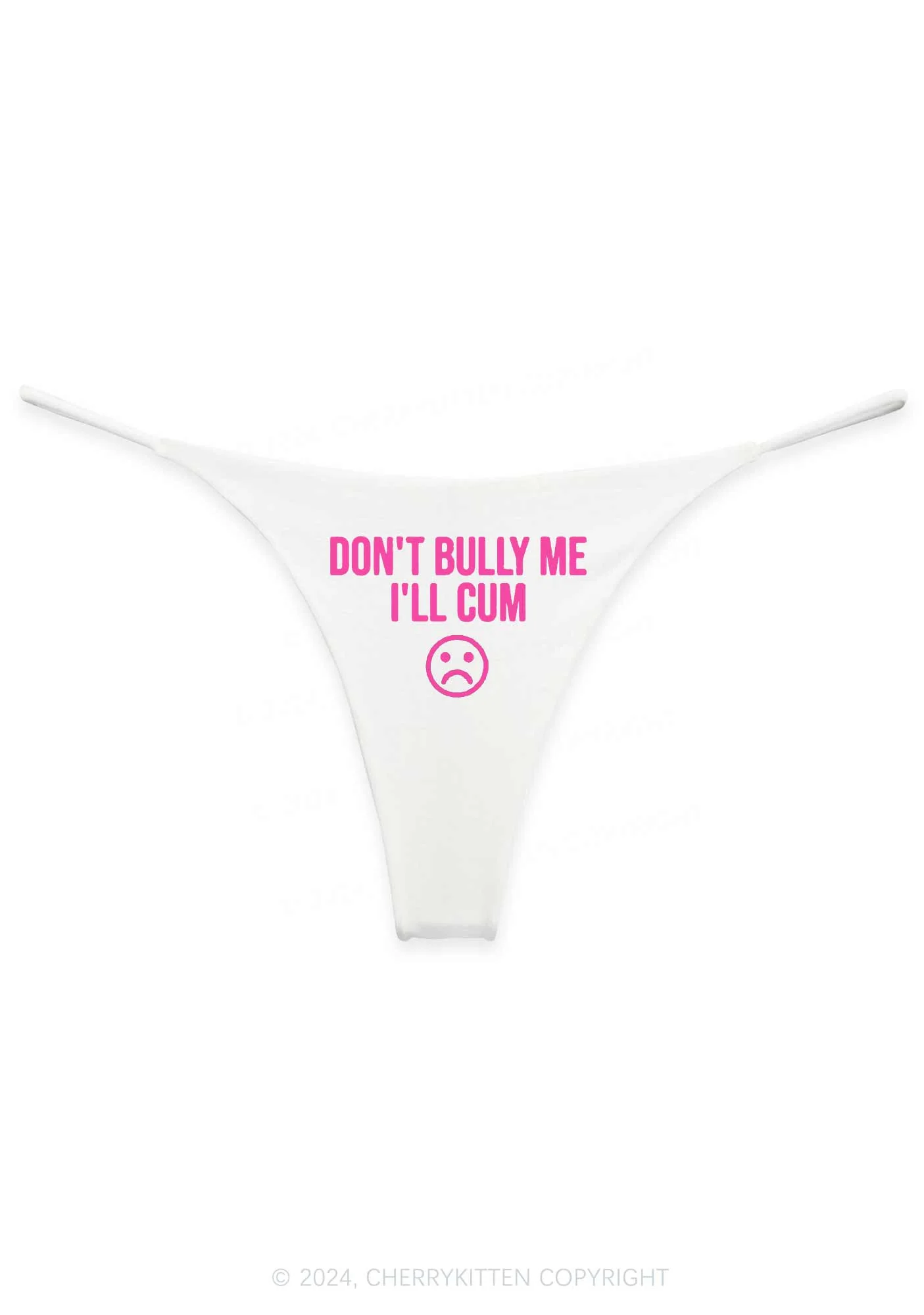 Don't Bully Me Y2K Bikini String Thong Cherrykitten - Image 3
