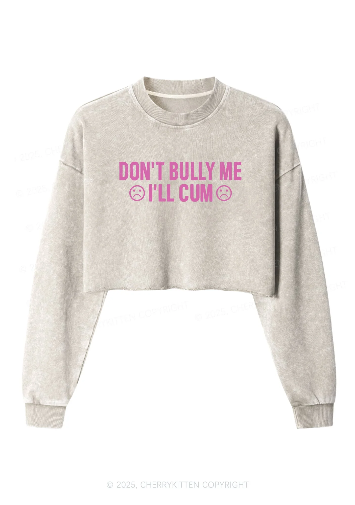 Dont Bully Me Y2K Crop Washed Sweatshirts Cherrykitten - Image 3