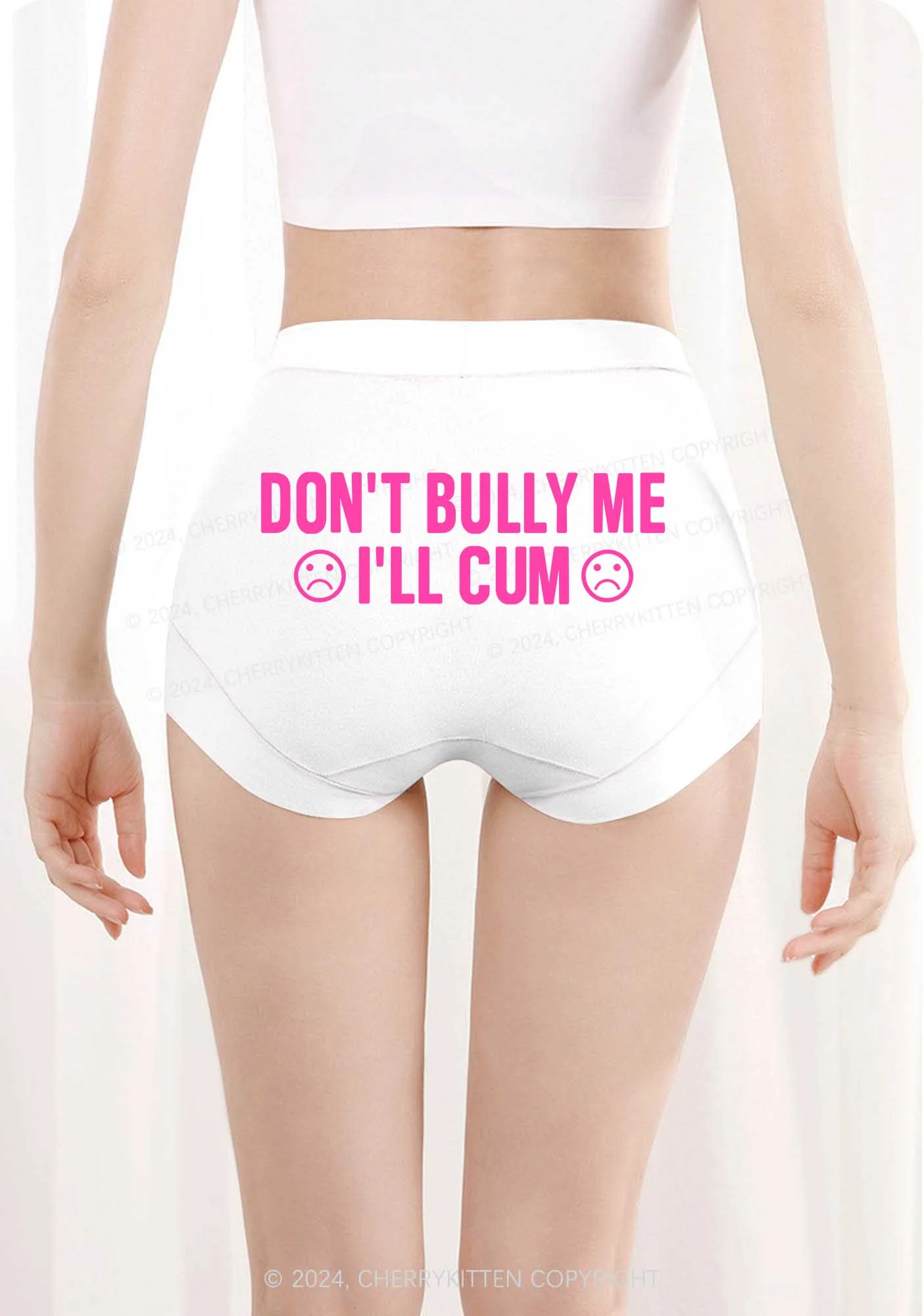 Don't Bully Me Y2K Mid Rise Waist Boyshort Cherrykitten - Image 3