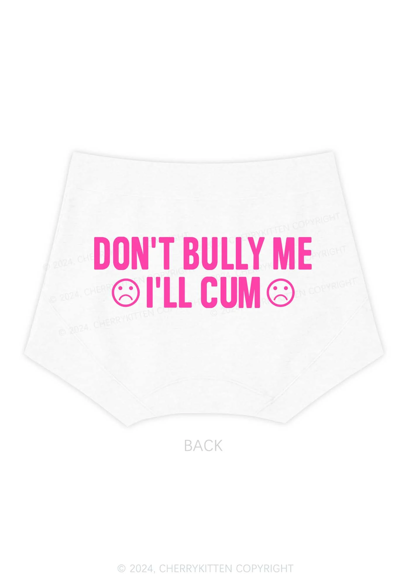 Don't Bully Me Y2K Mid Rise Waist Boyshort Cherrykitten - Image 5