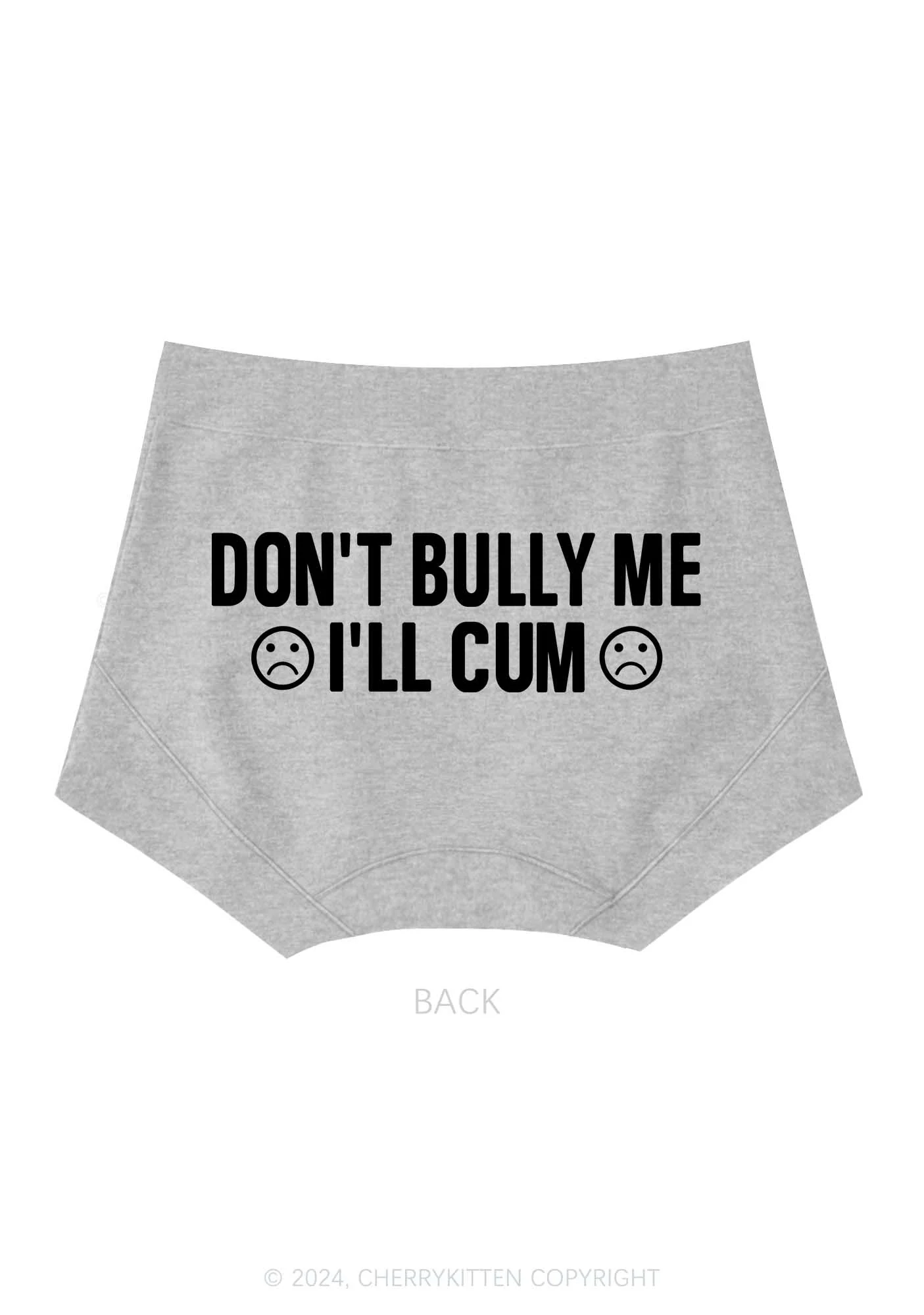 Don't Bully Me Y2K Mid Rise Waist Boyshort Cherrykitten - Image 6