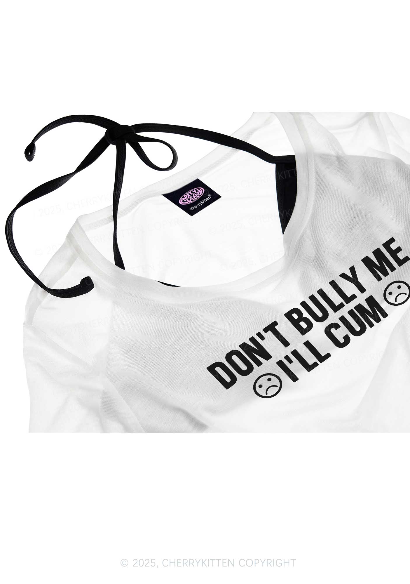 Dont Bully Me Y2K Sheer Boyfriend Tee Cherrykitten - Image 4